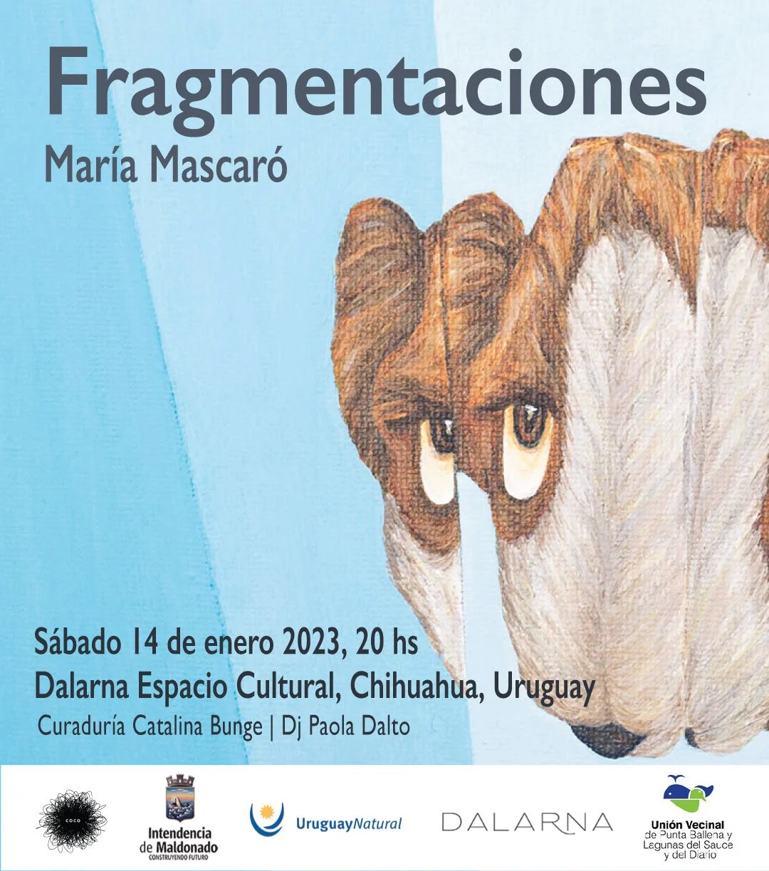 flyer_web_fragmentaciones-cuad-celeste-1.jpeg