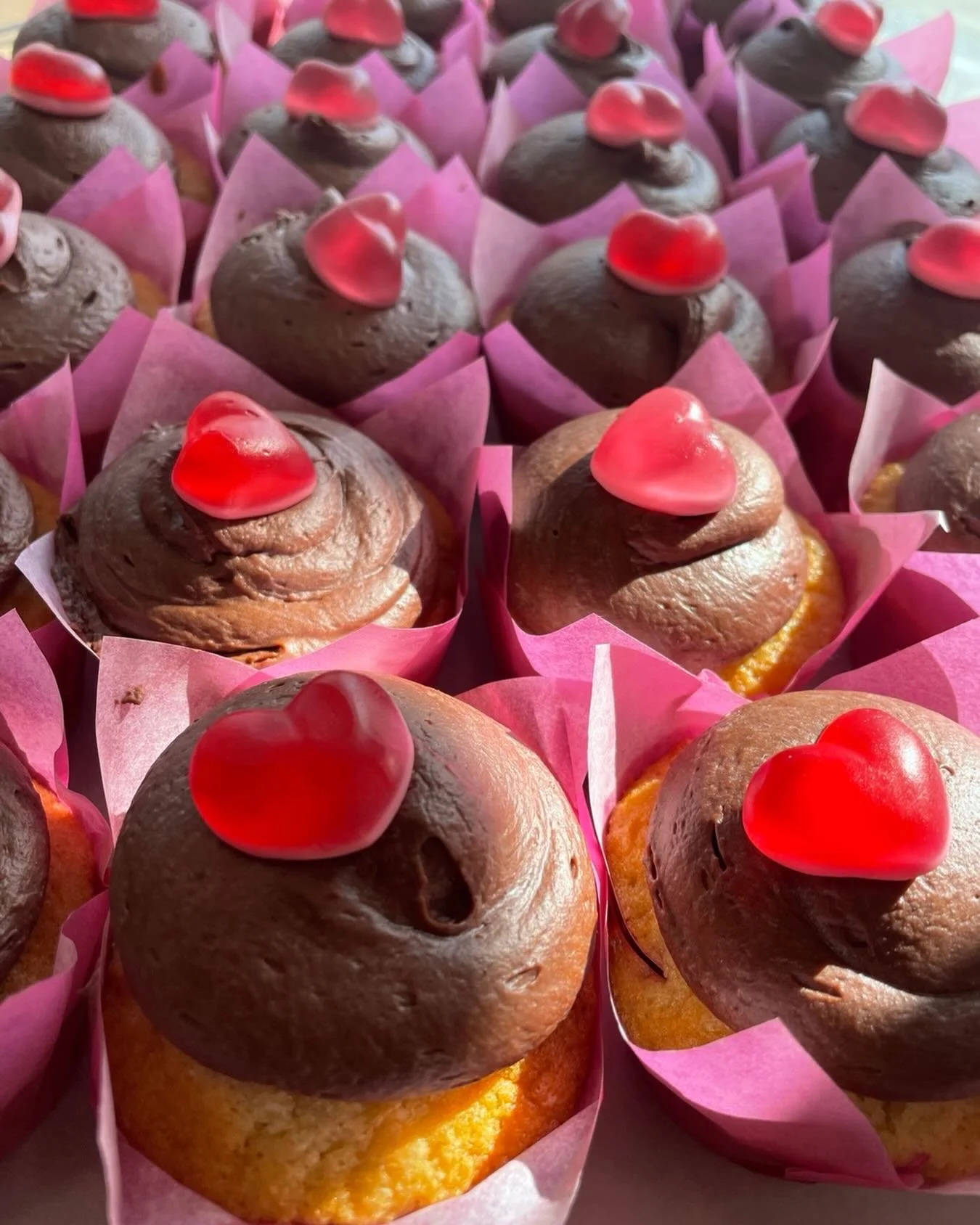 Valentine&rsquo;s Day cupcakes 6pkfor$24 or 4/pk$16
#cupcakes#cupcakedecorating #toronto