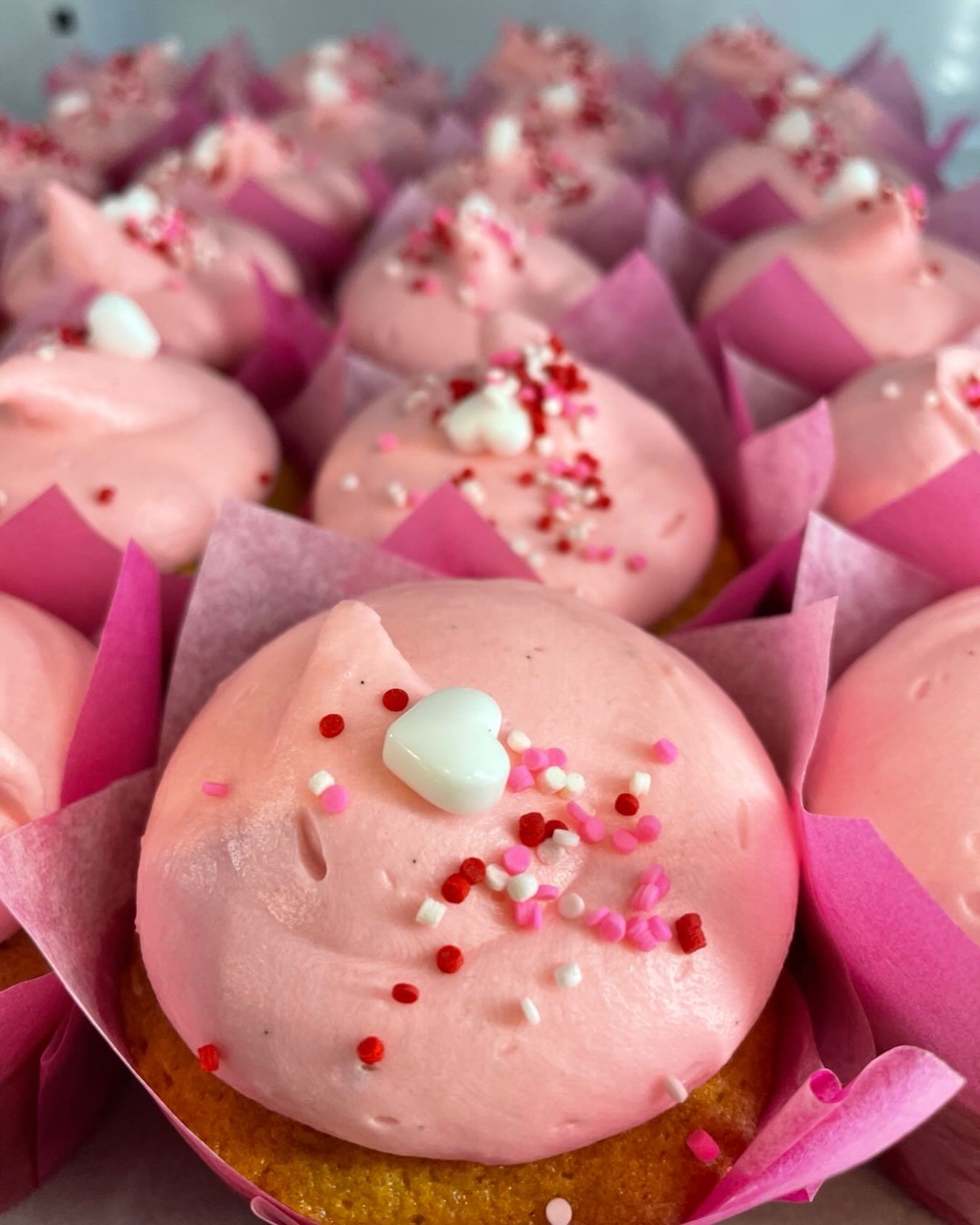 Valentine&rsquo;s Day cupcakes 6/pk fron$24#cupcakes #valenitnesday #vanilla cupcakes