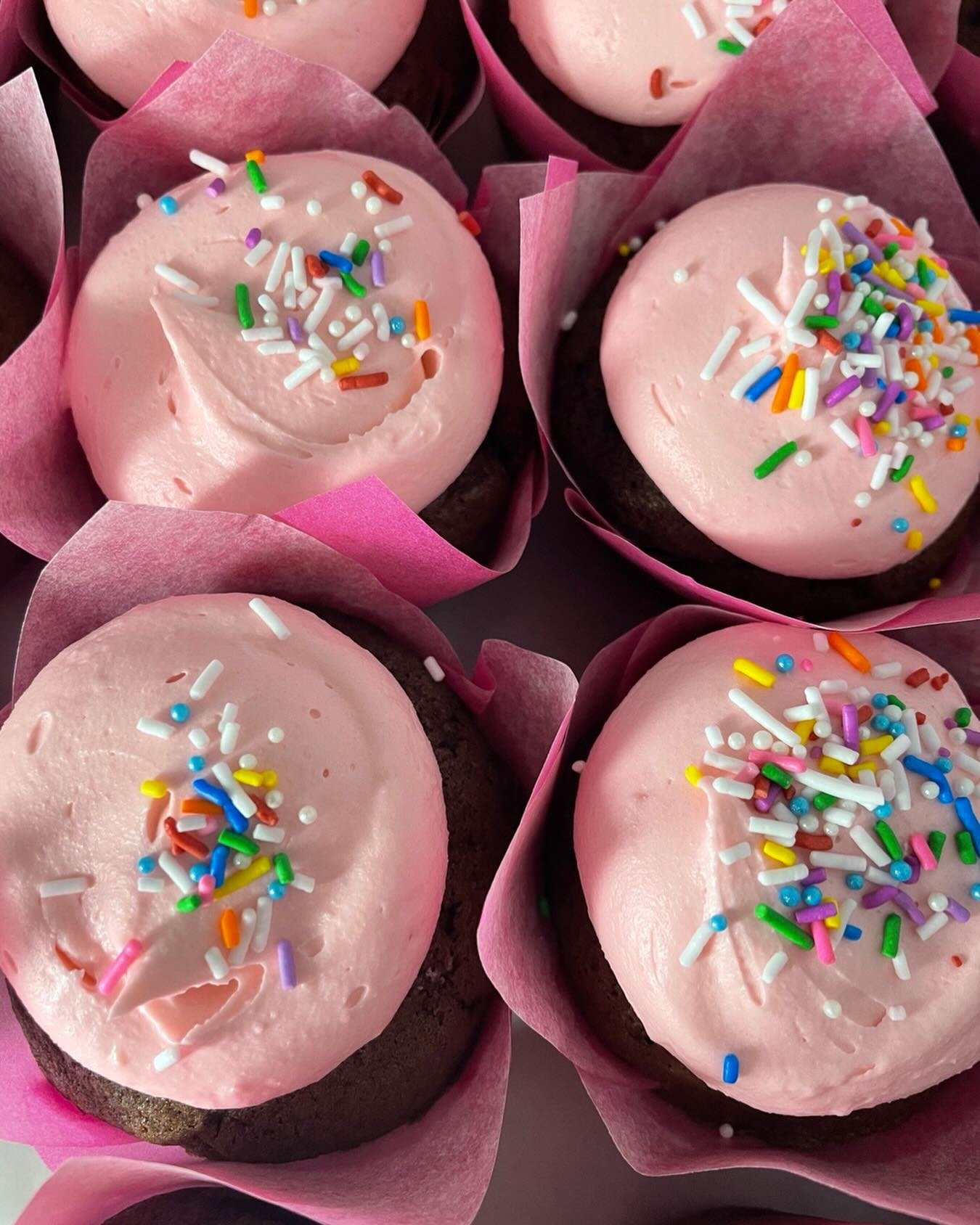 Cupcake promo 6/pk $20