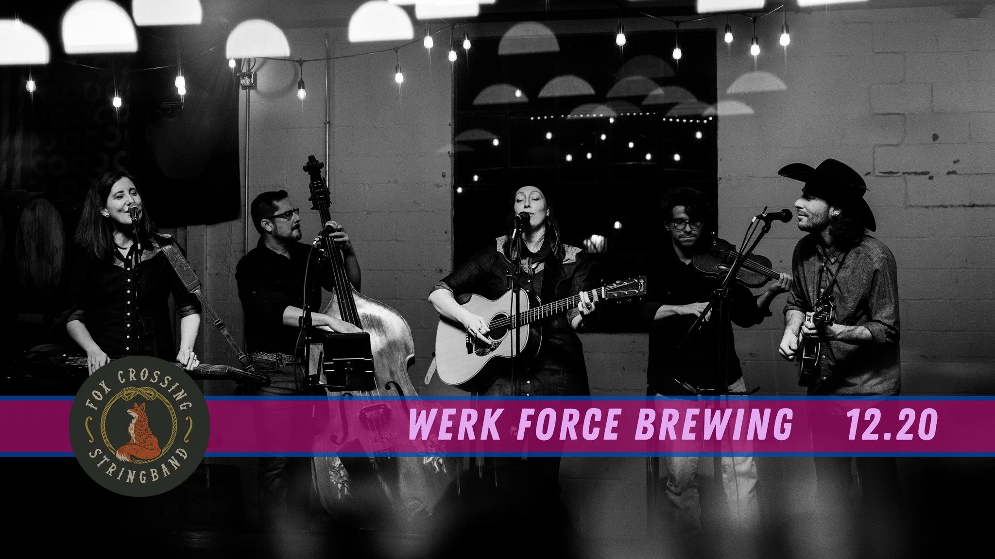 Live Music: Fox Crossing Stringband