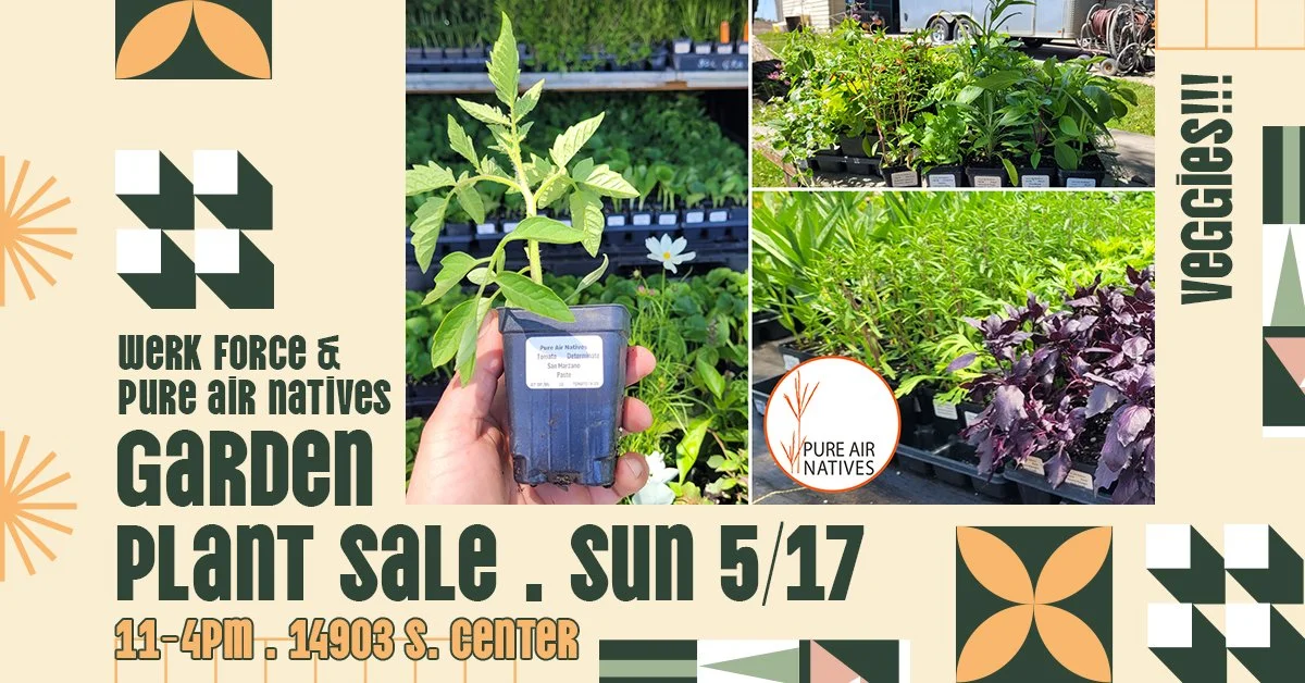 Garden Plant Sale Feat. Pure Air Natives!