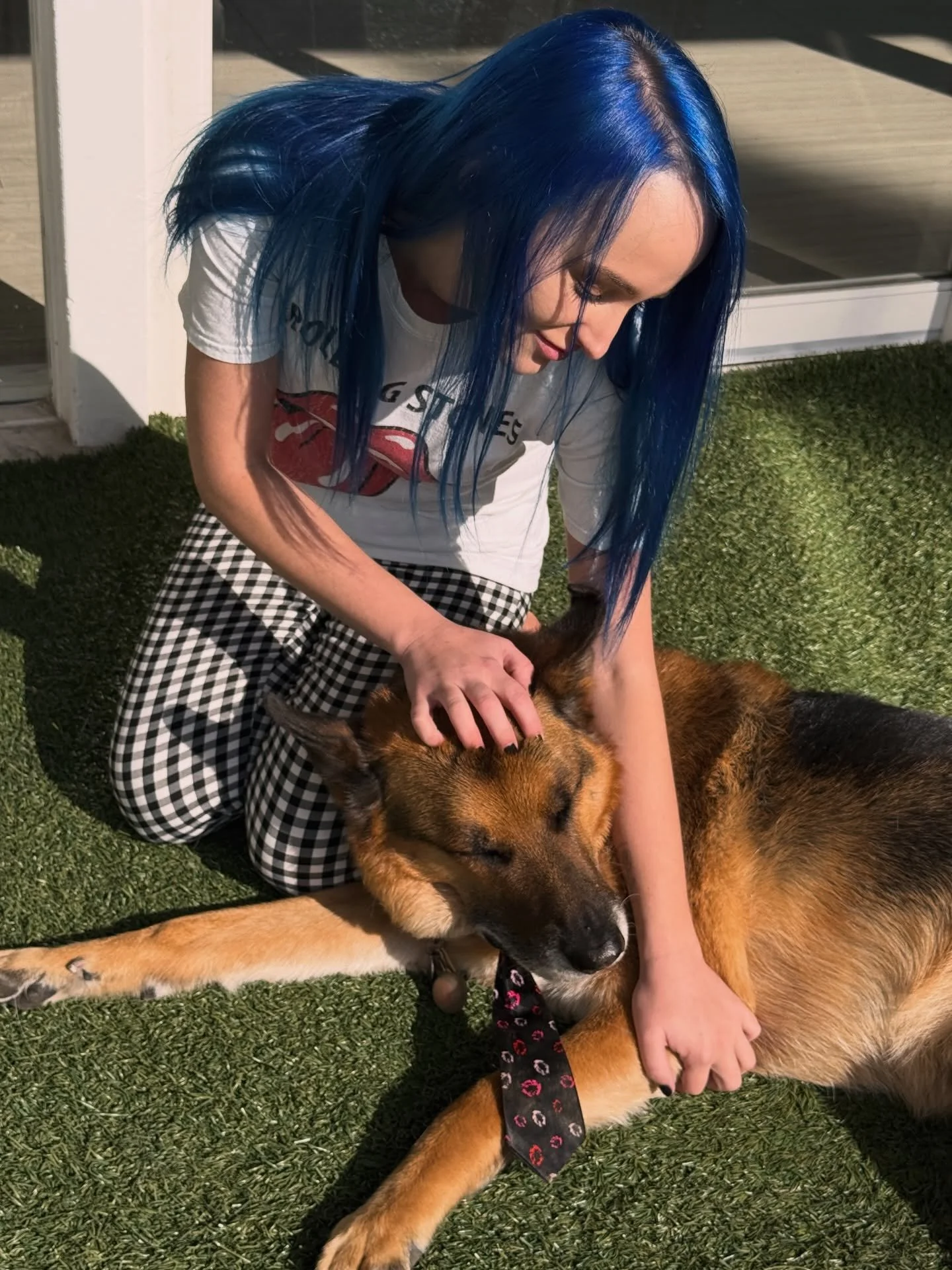 midweek cuddle with Zepp 🐾