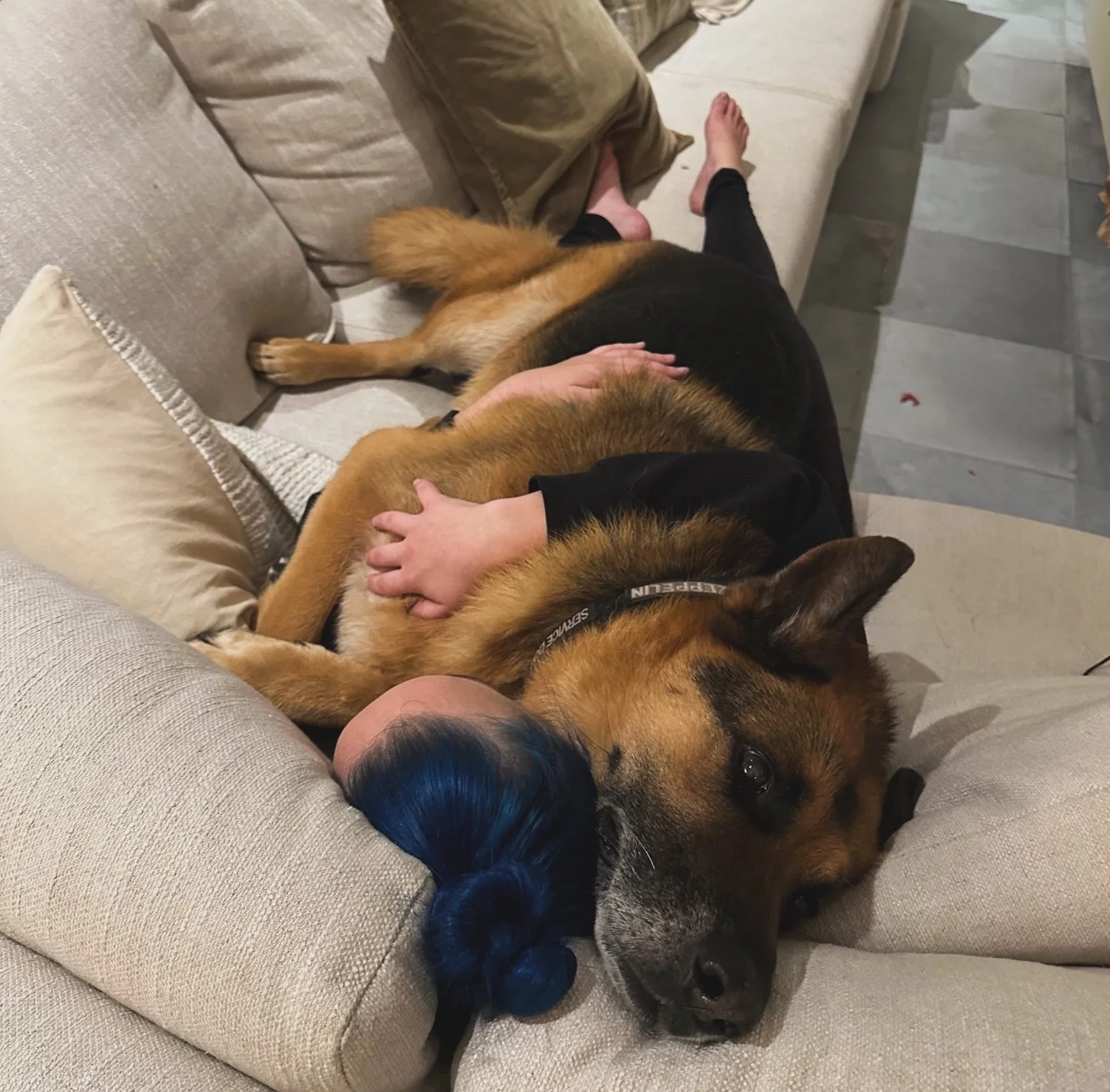 Just holdin on 💤🐾