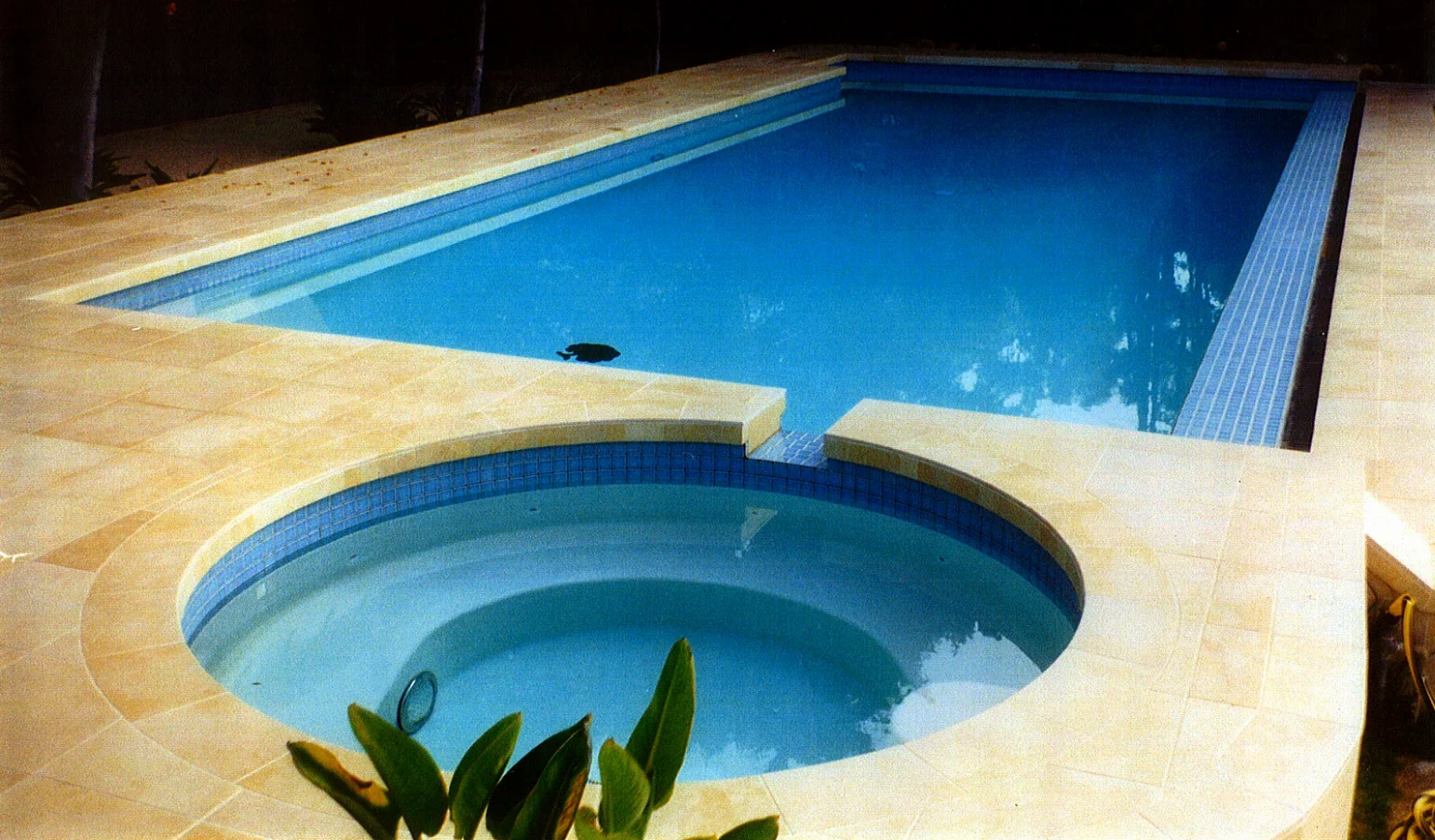 Fotor0609152048.jpg