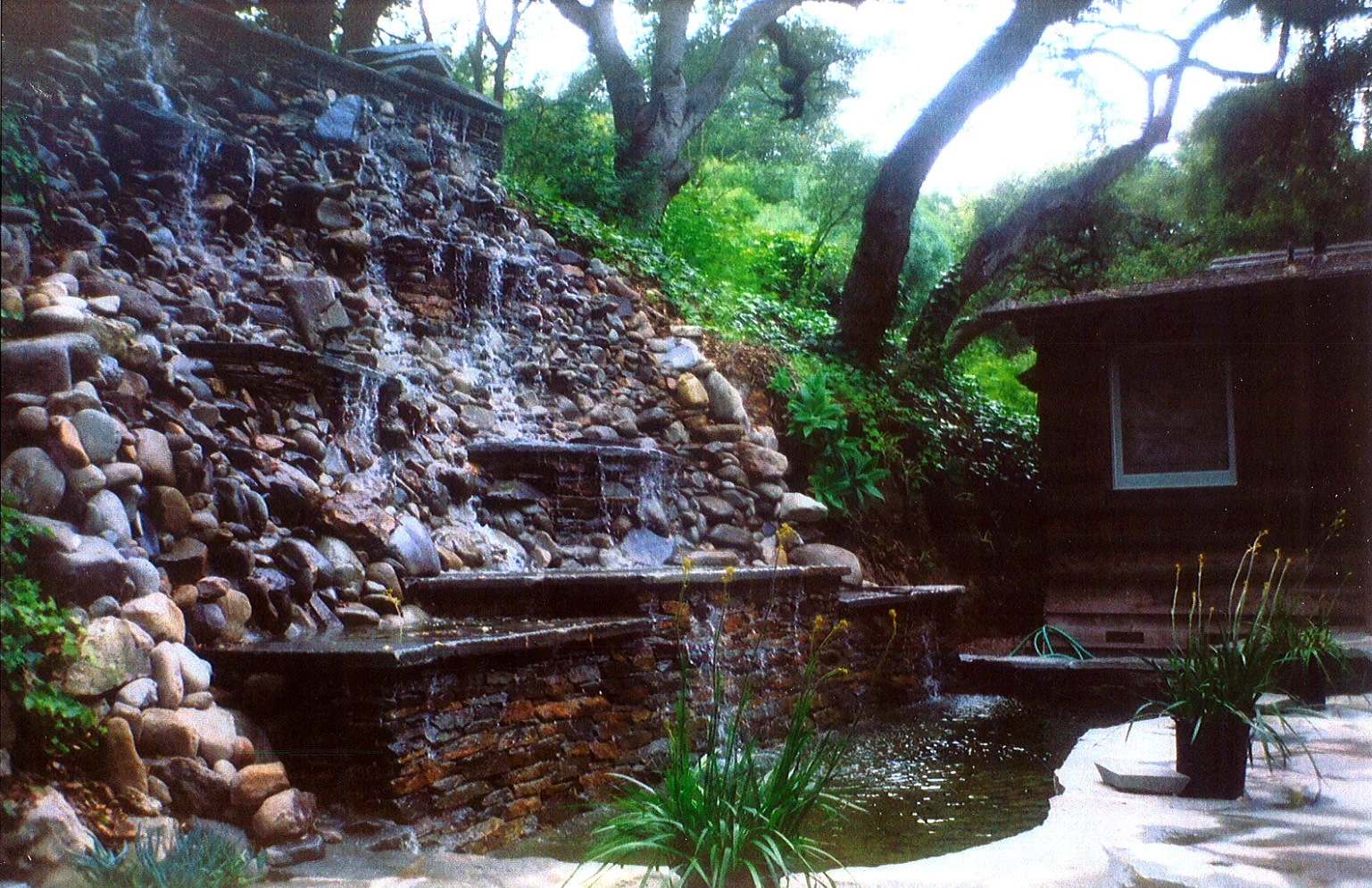 Fotor0609162714.jpg