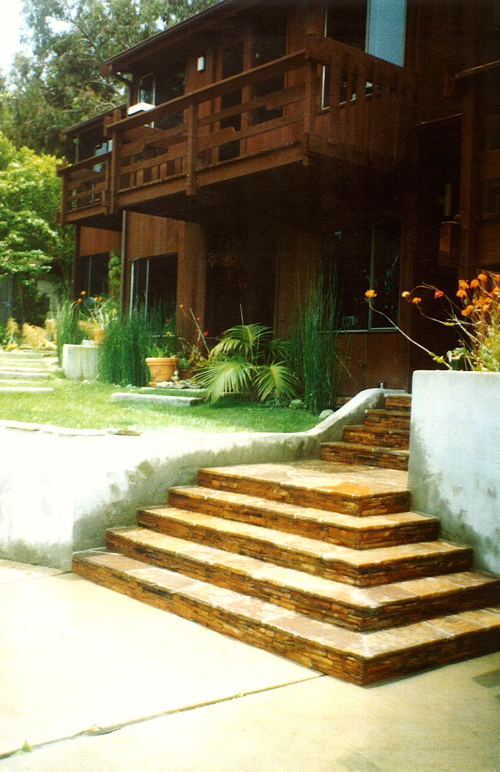 Fotor0609163352.jpg