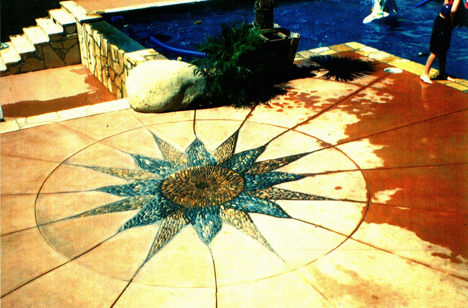 Fotor0609174226.jpg