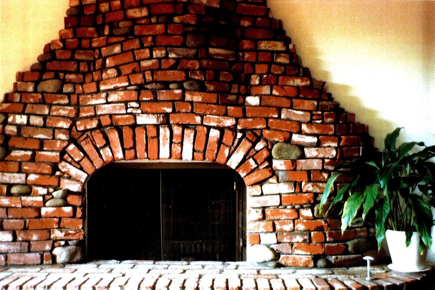 Fotor0609154721.jpg