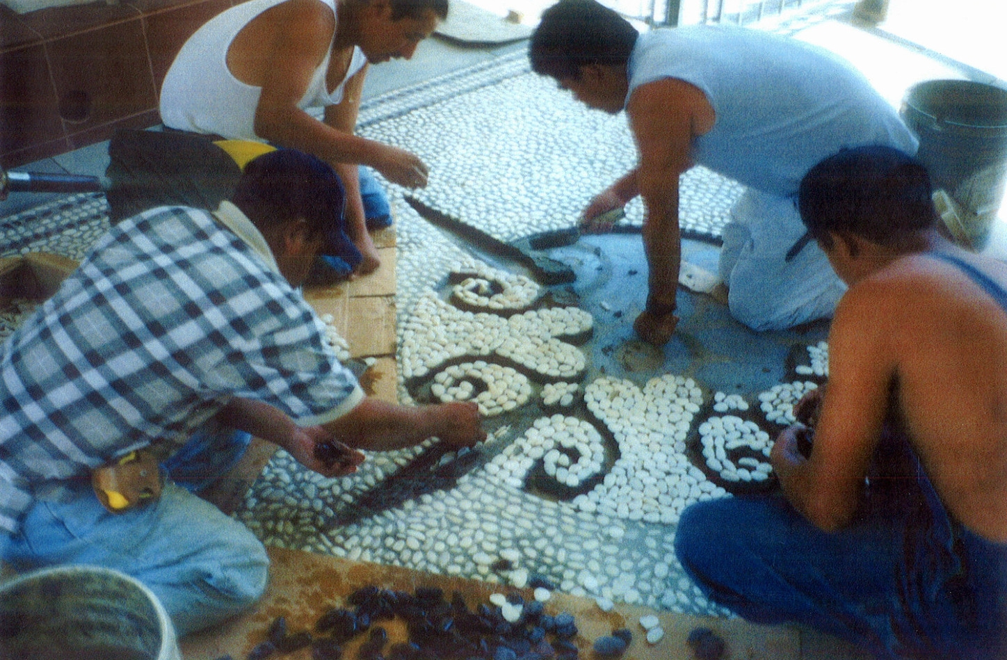 Fotor0605125836.jpg