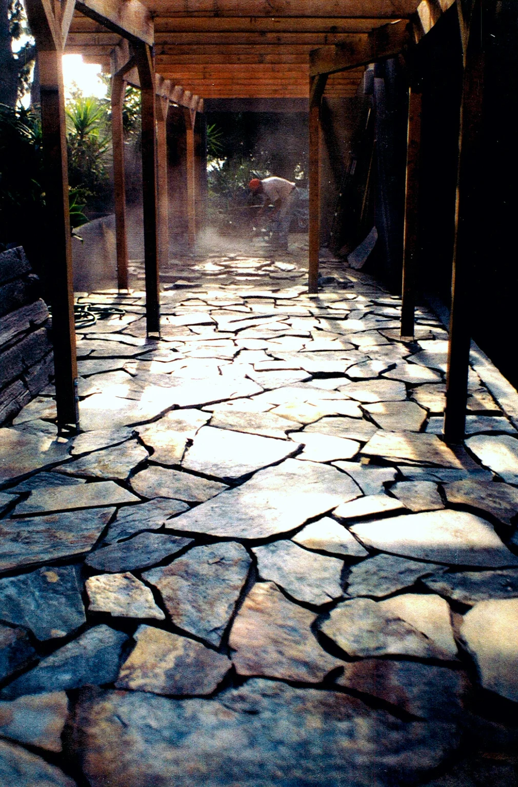 Fotor0609154055.jpg