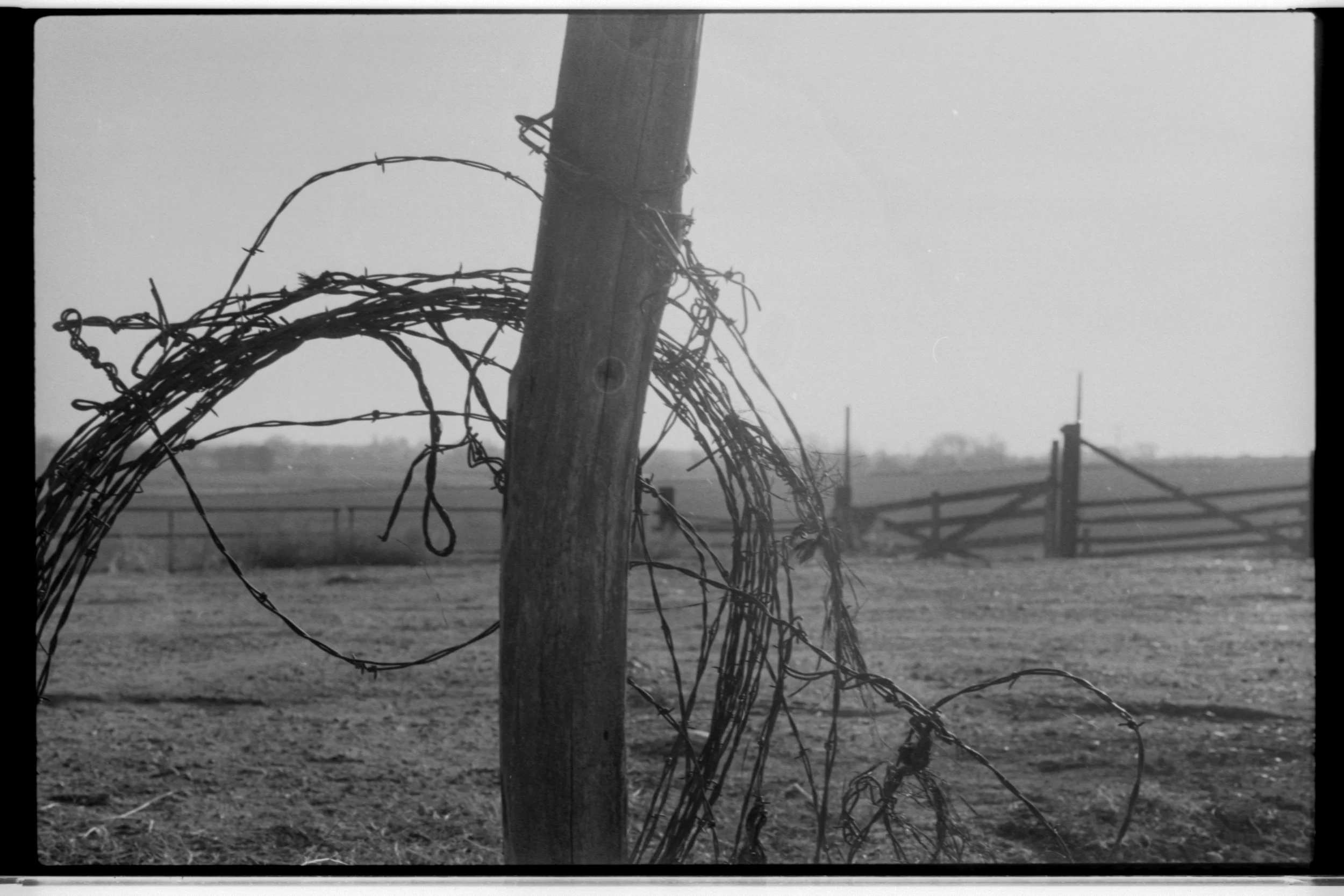 Scan 2-2.jpg