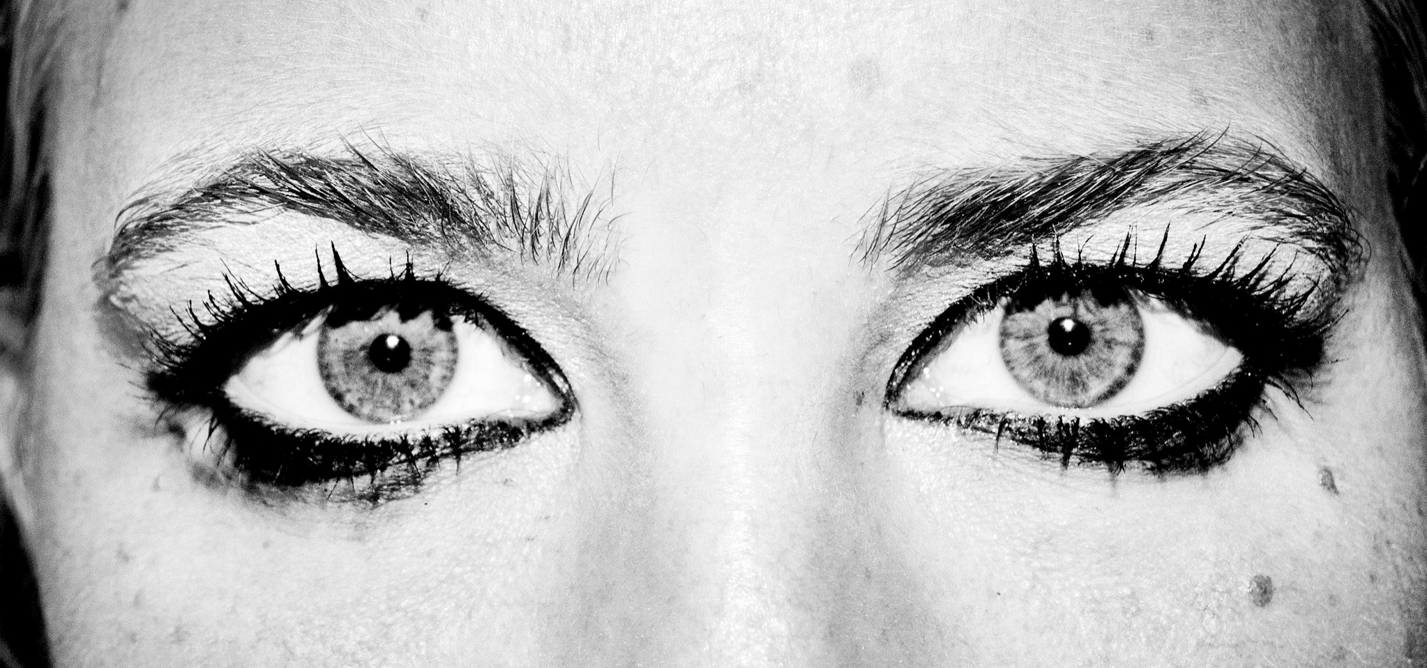 Screen Shot 2019-01-06 at 1.52.12 PM.png