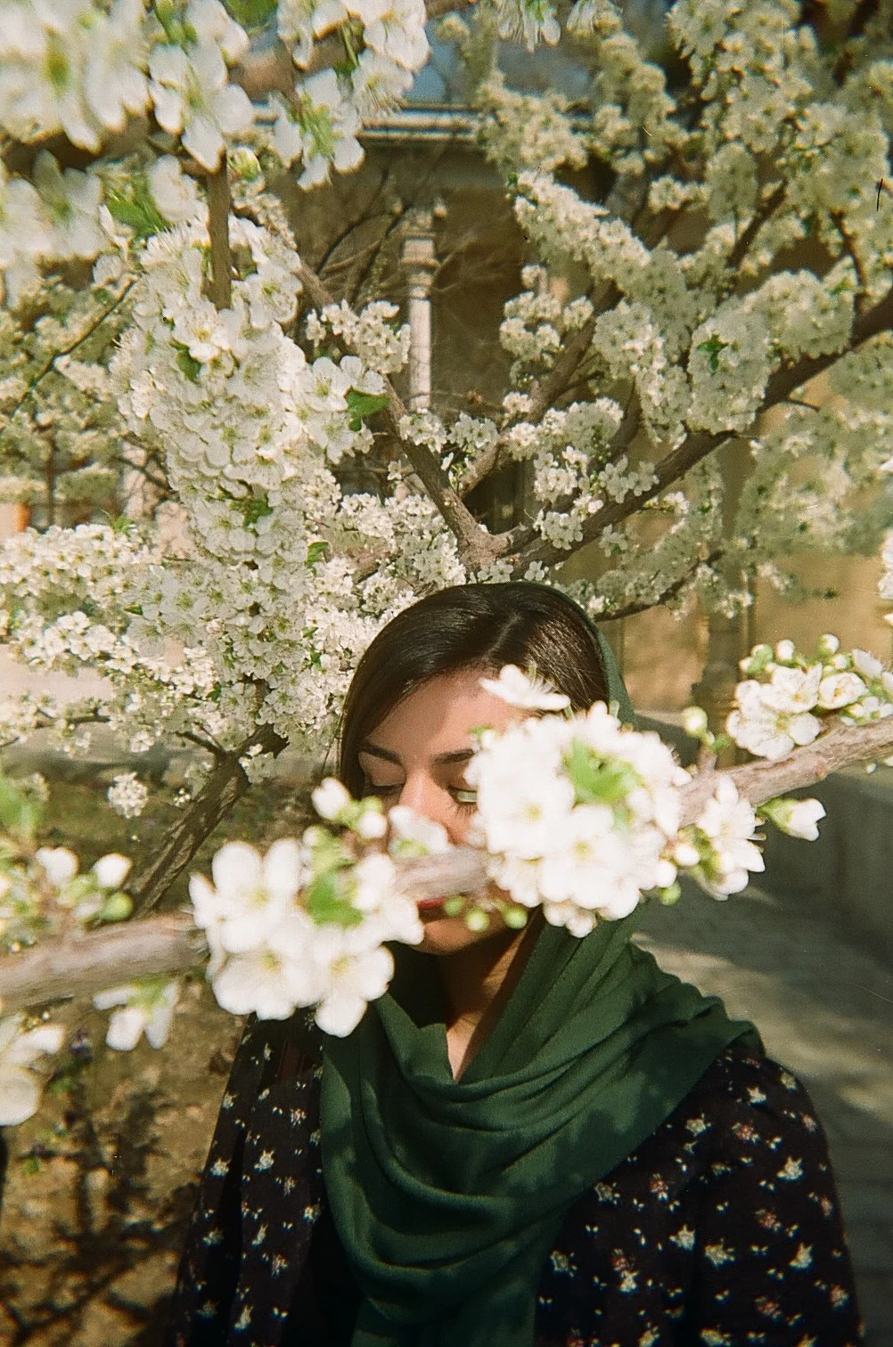 Neda Monem Journalist, Tehran