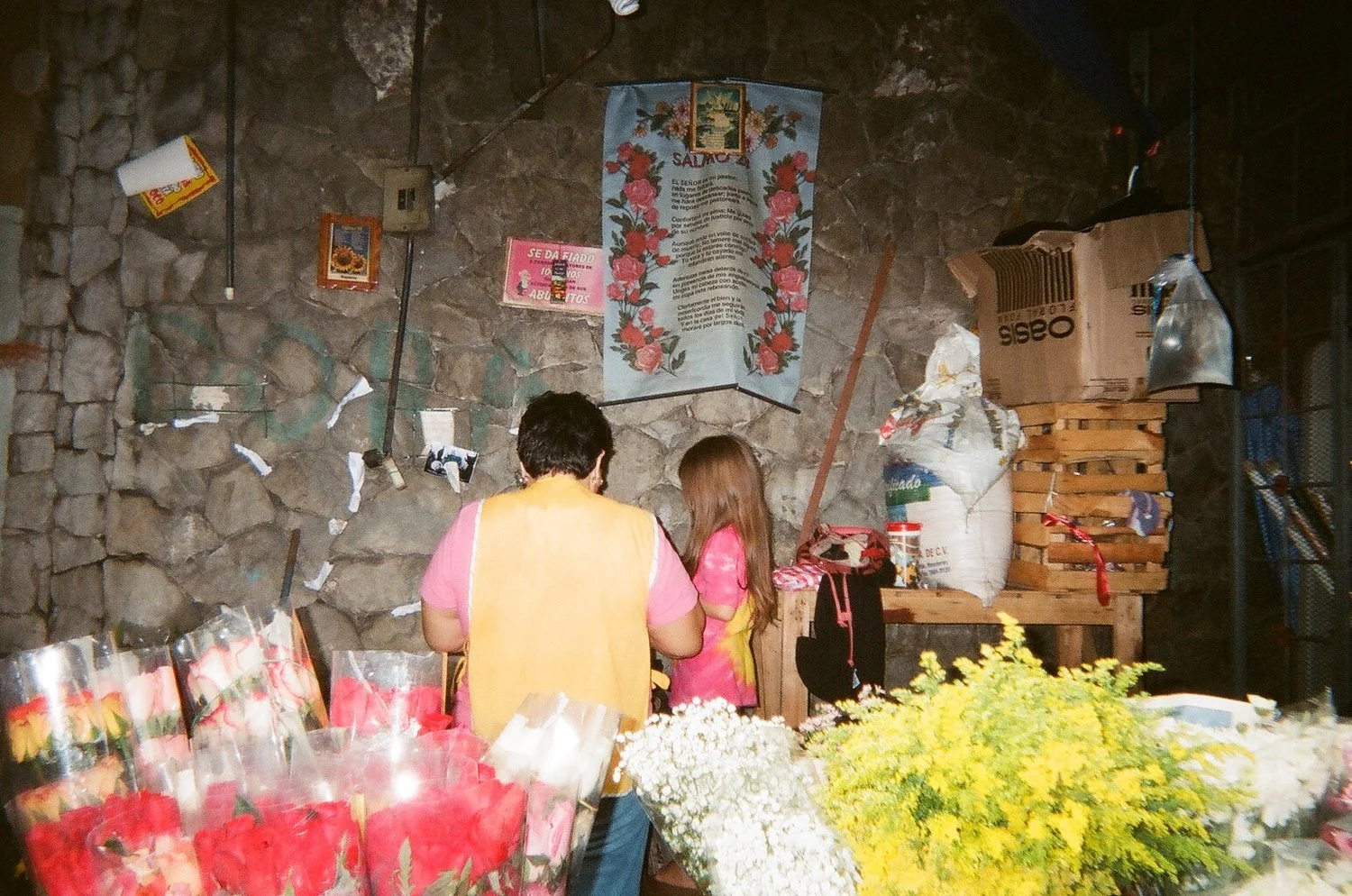 Alx and Anais Disposable Team, San Pedro Sula
