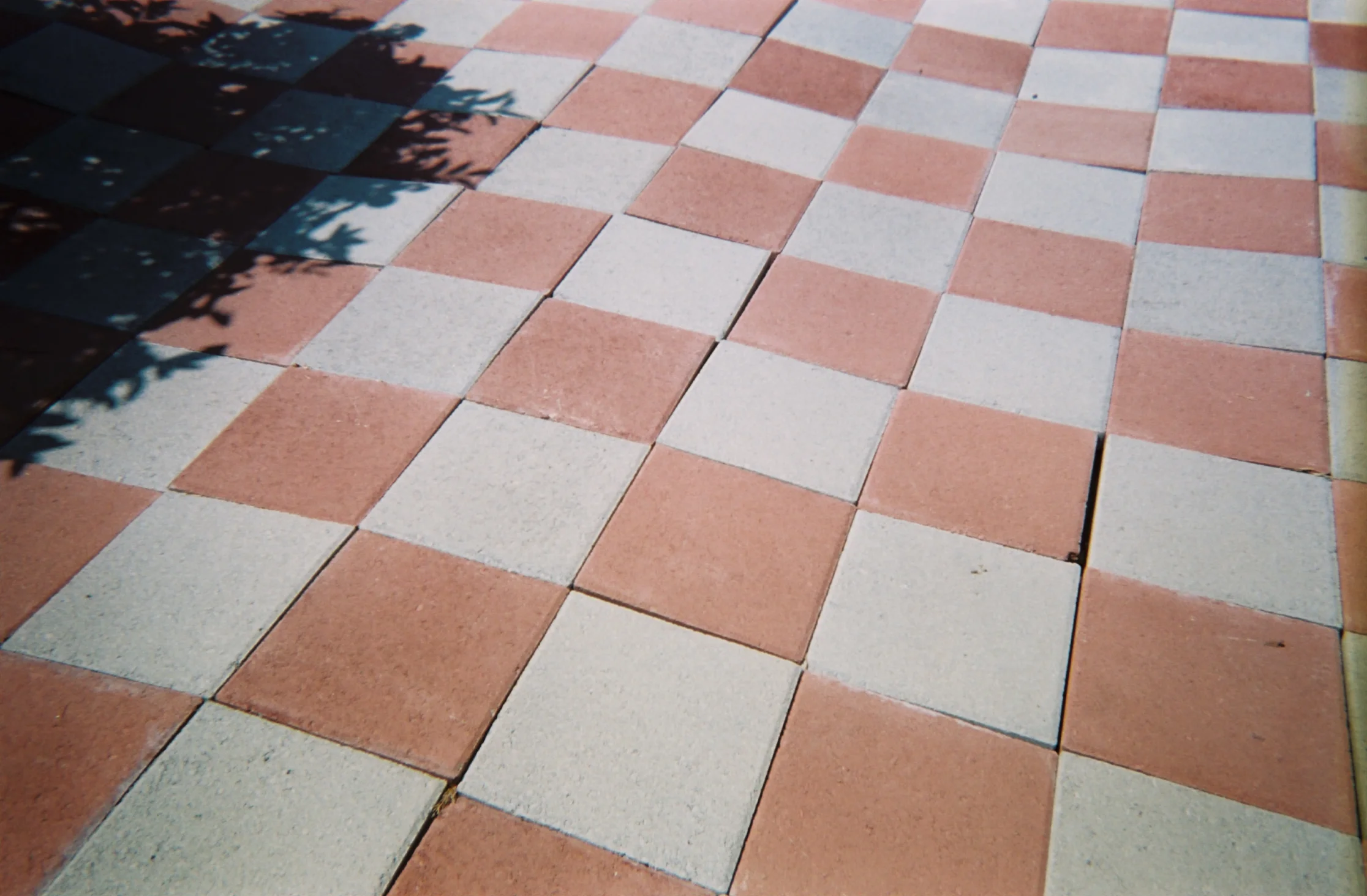 Disposable_S_Salehi27.jpg