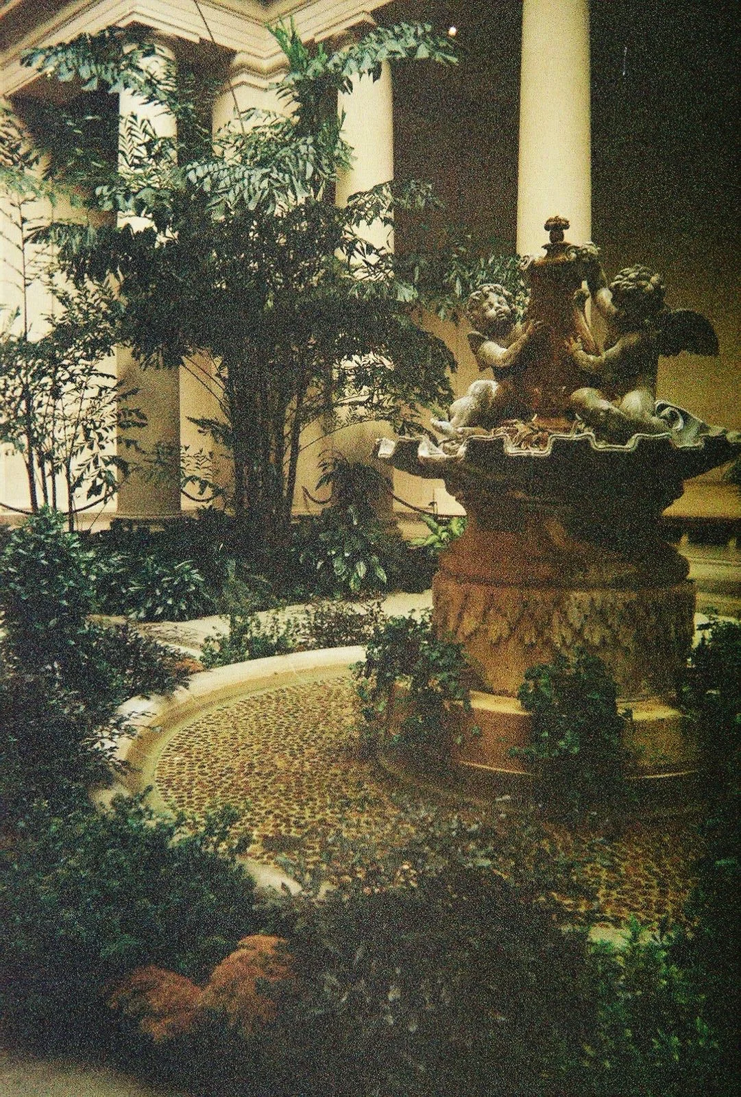 2331954_2331954-R1-016-6A.jpg