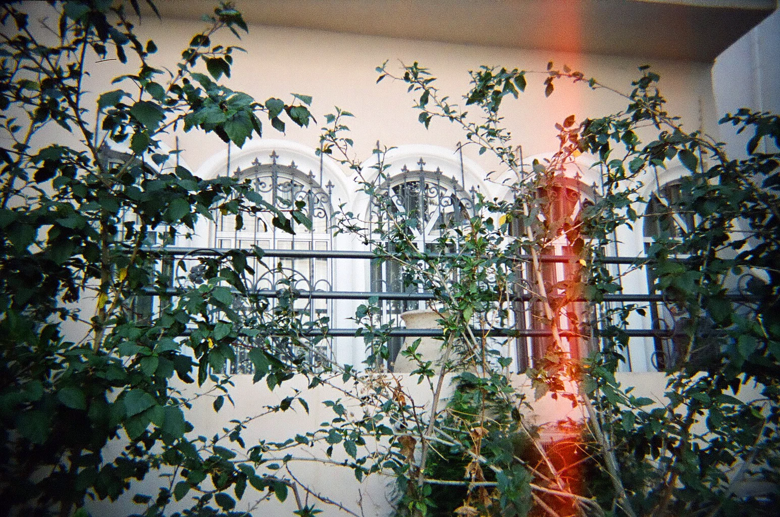76520011.jpg