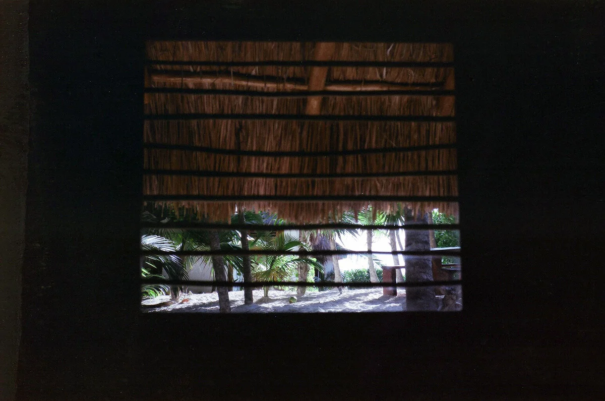 14550001.jpg