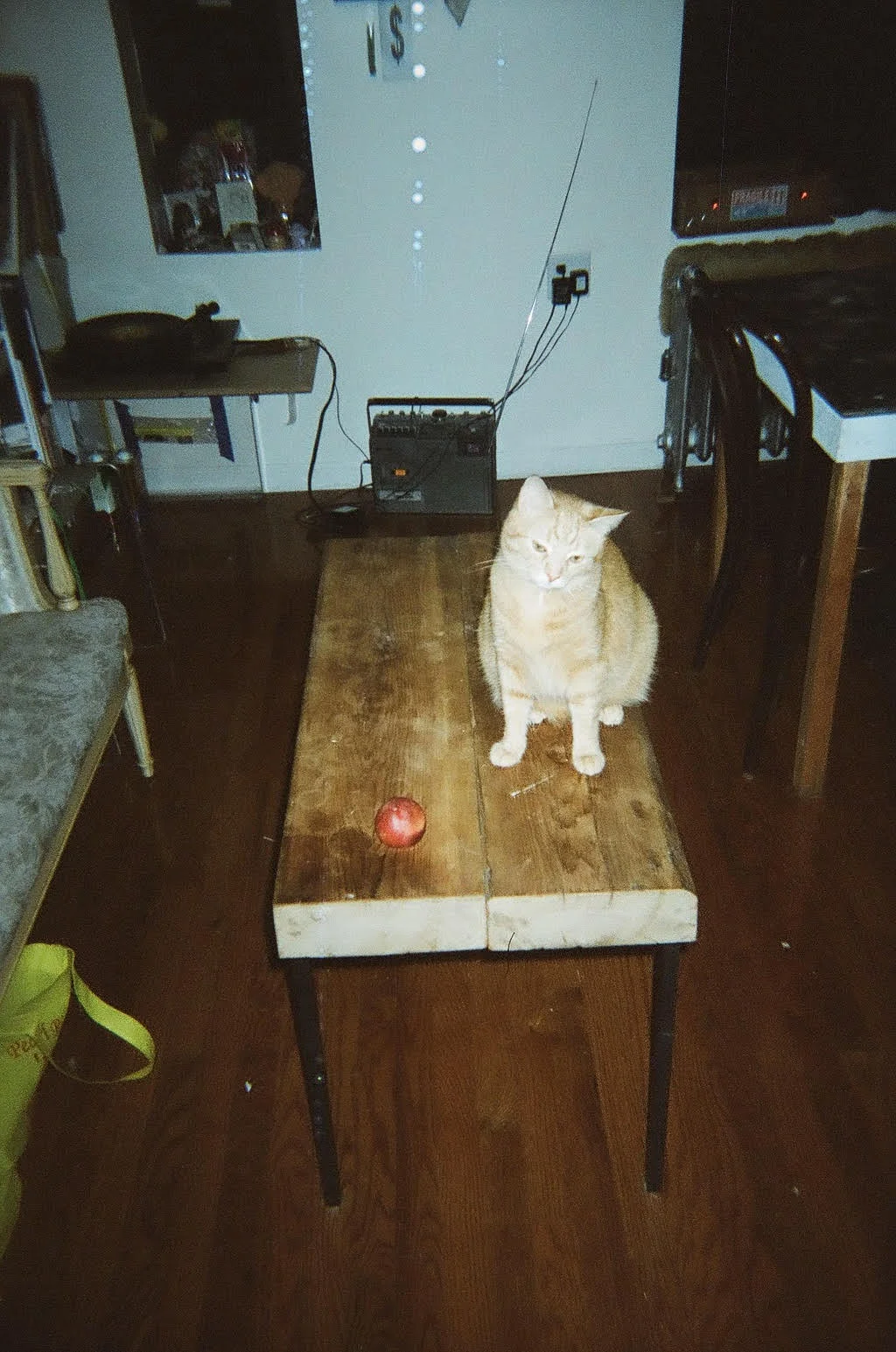 unnamed-1.jpg
