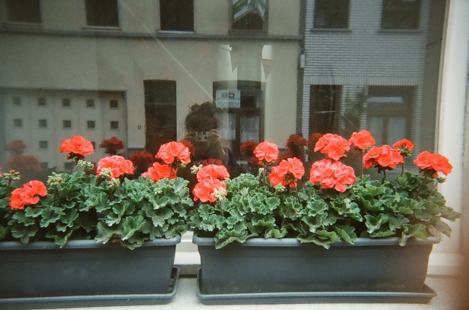 74020020.jpg