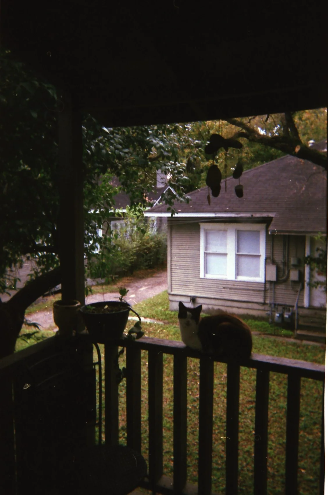 IMG_20150112_0007 (6).jpg