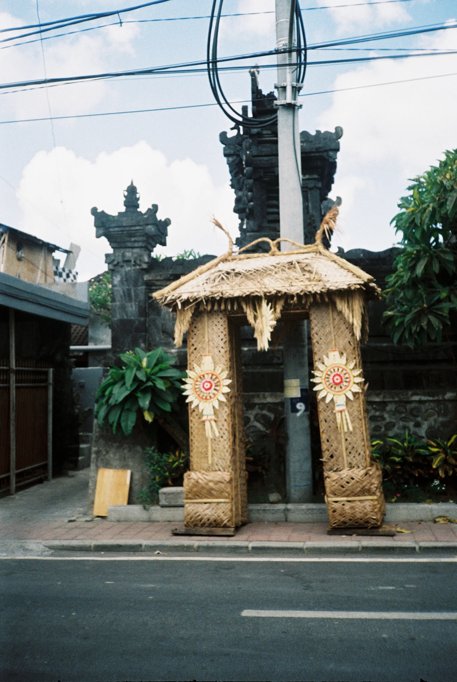 anai387-006.jpg