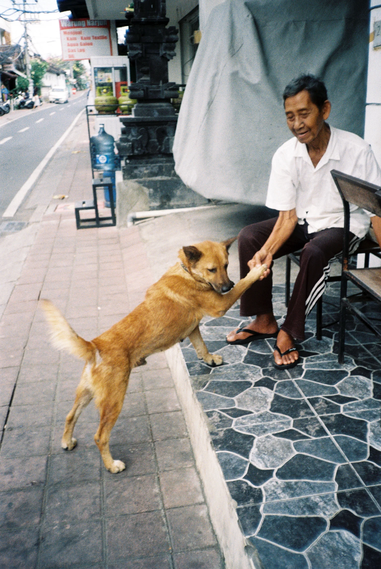 Anaïs of Disposable Visiting Bali