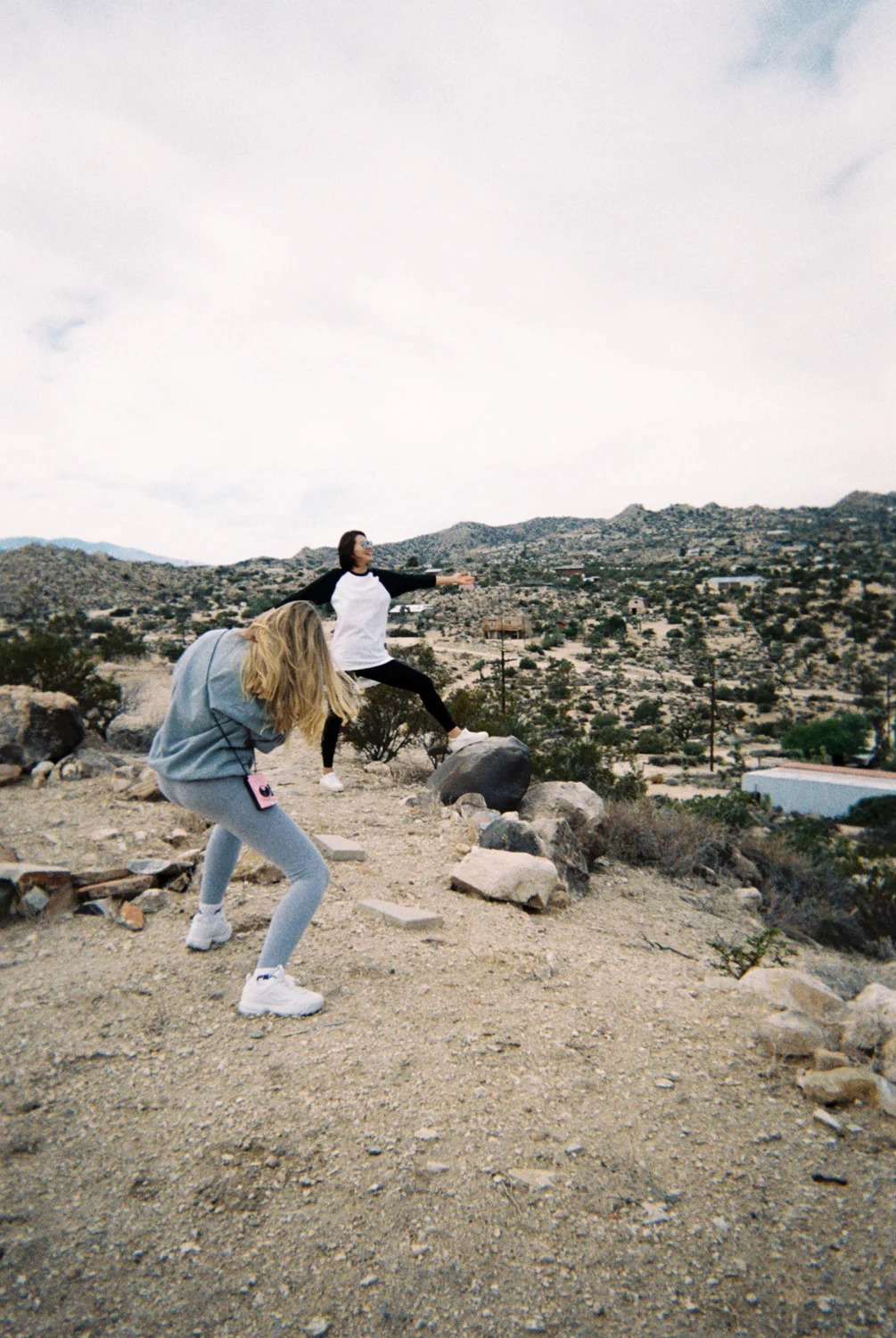 Joshua-tree_018.jpg