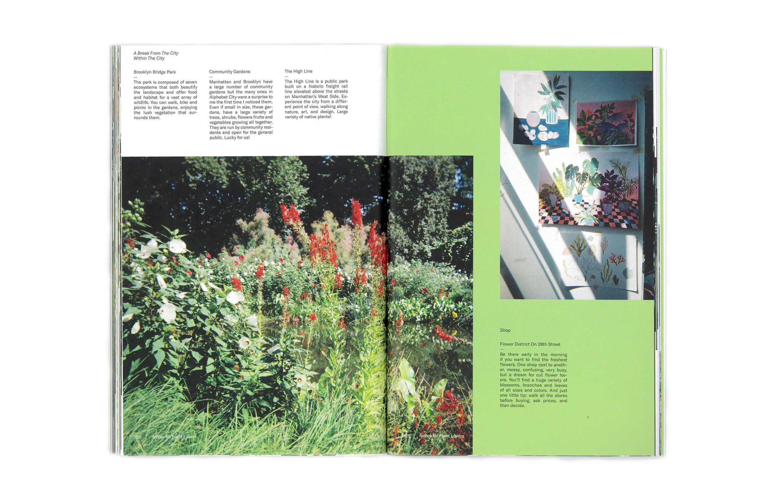 Plants_Zine_Scan6.jpg