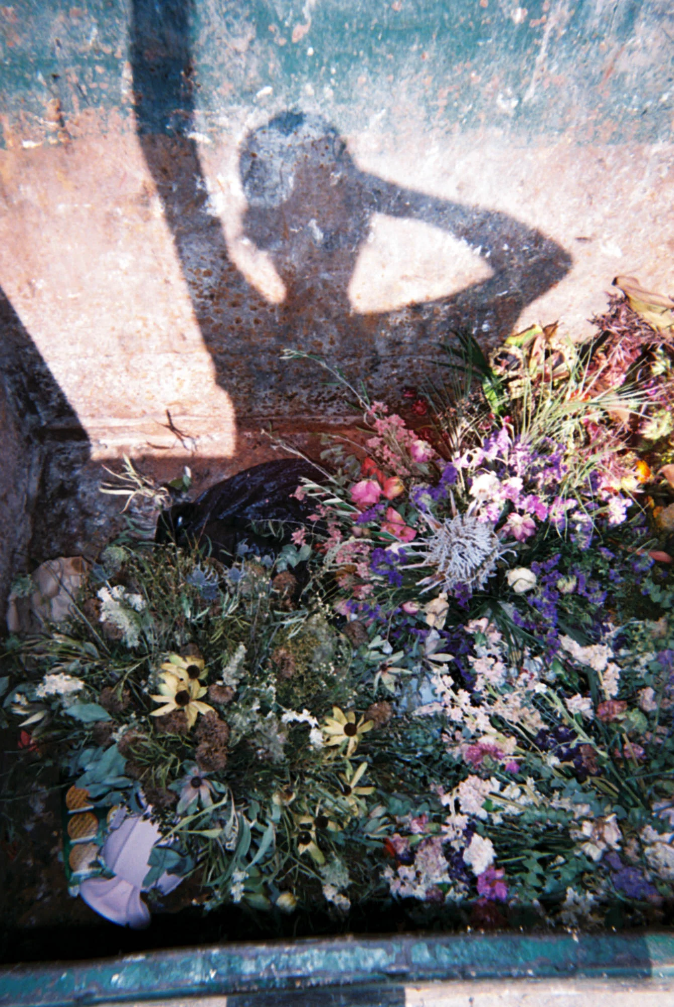 anais11-087.jpg