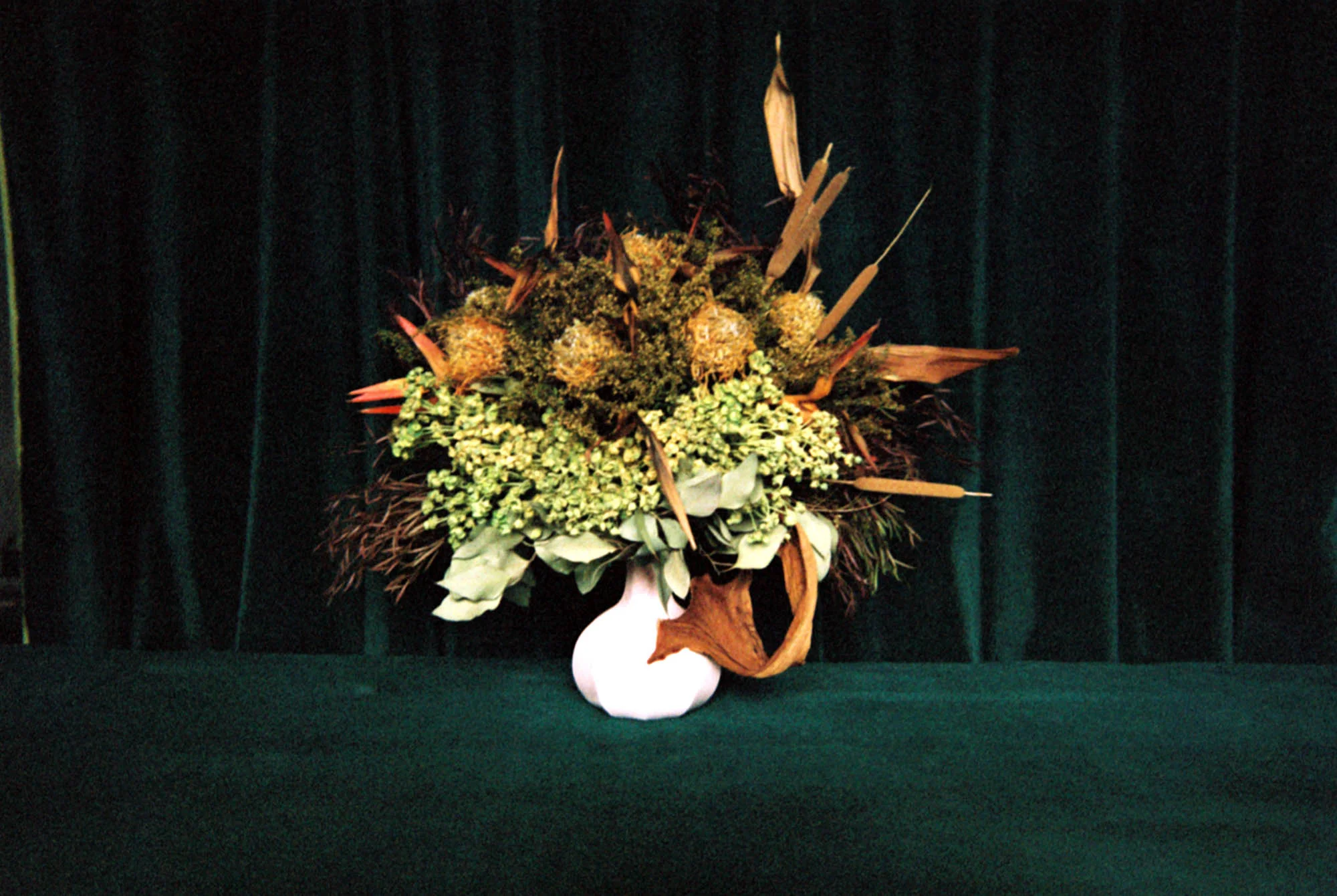 Nemuel DePaula Founder of Lenita, Floral Artist, Art Director & Graphic Designer Downtown Arts District Los Angeles, Plants