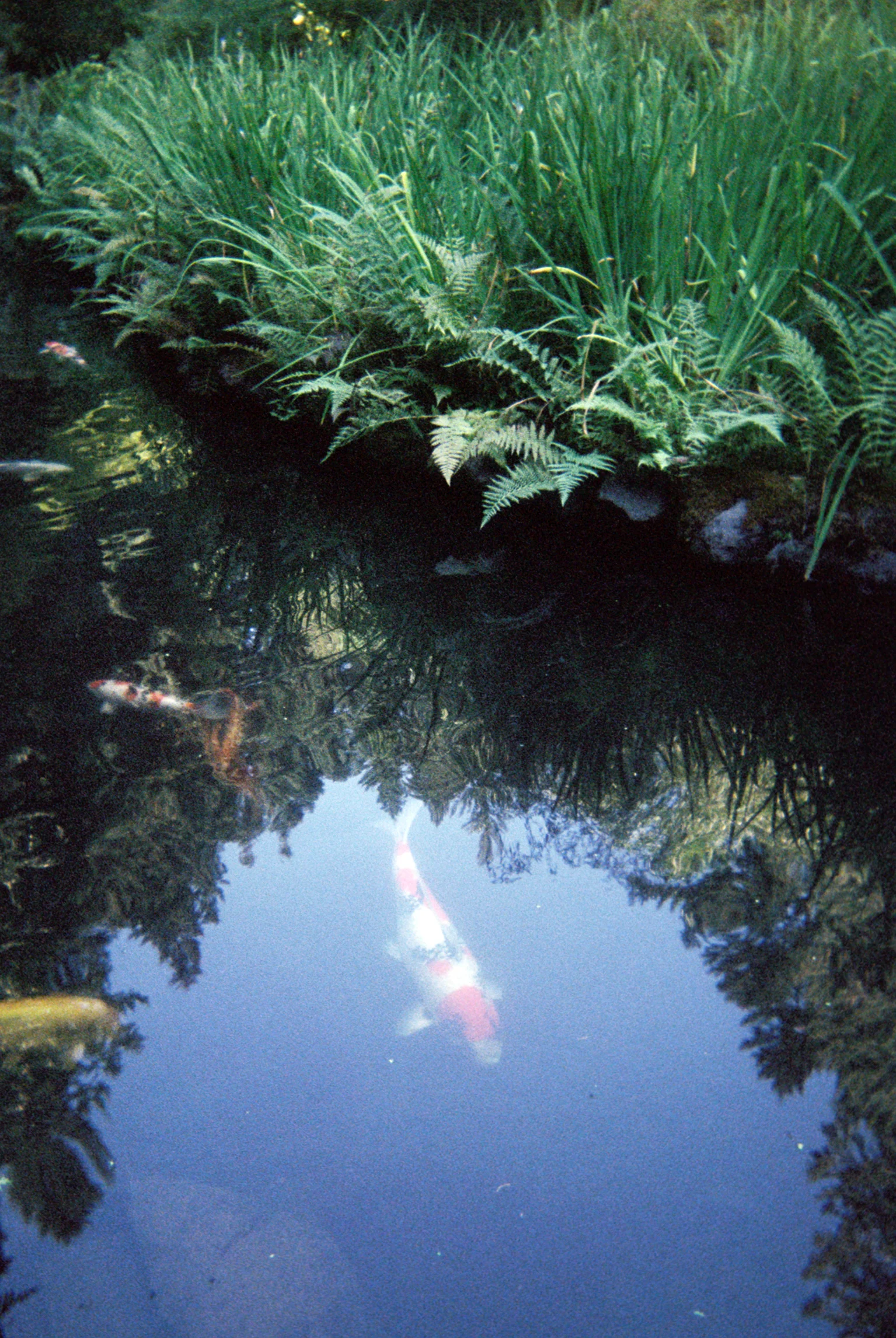 anai389-032.jpg