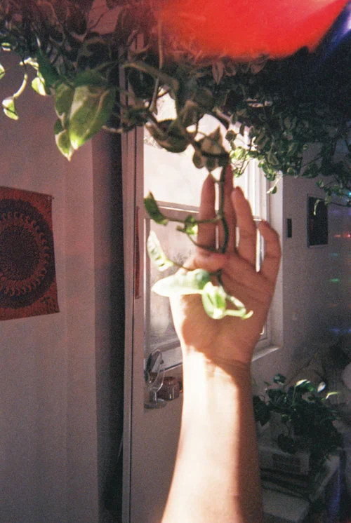 Kat Lee Gallery Manager, Los Angeles Plants