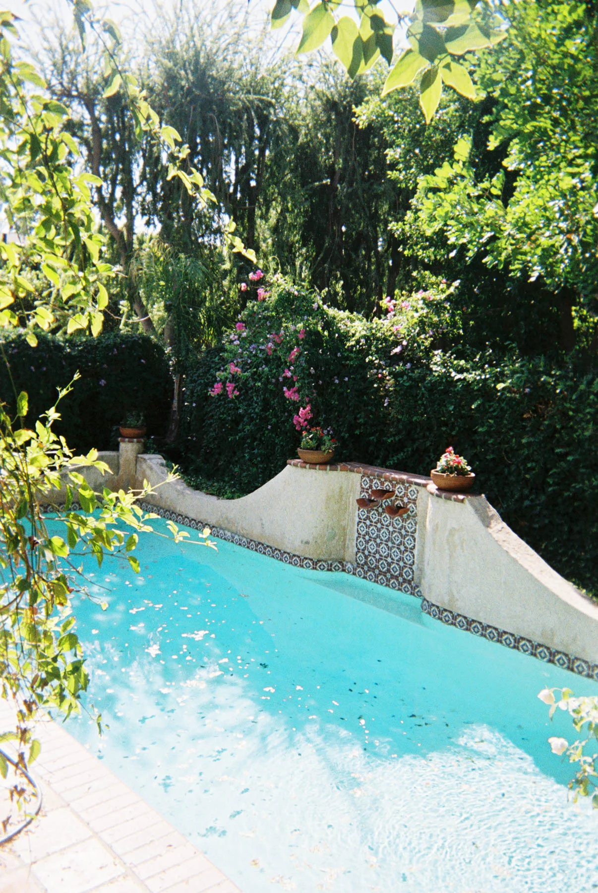 anais45-016.jpg