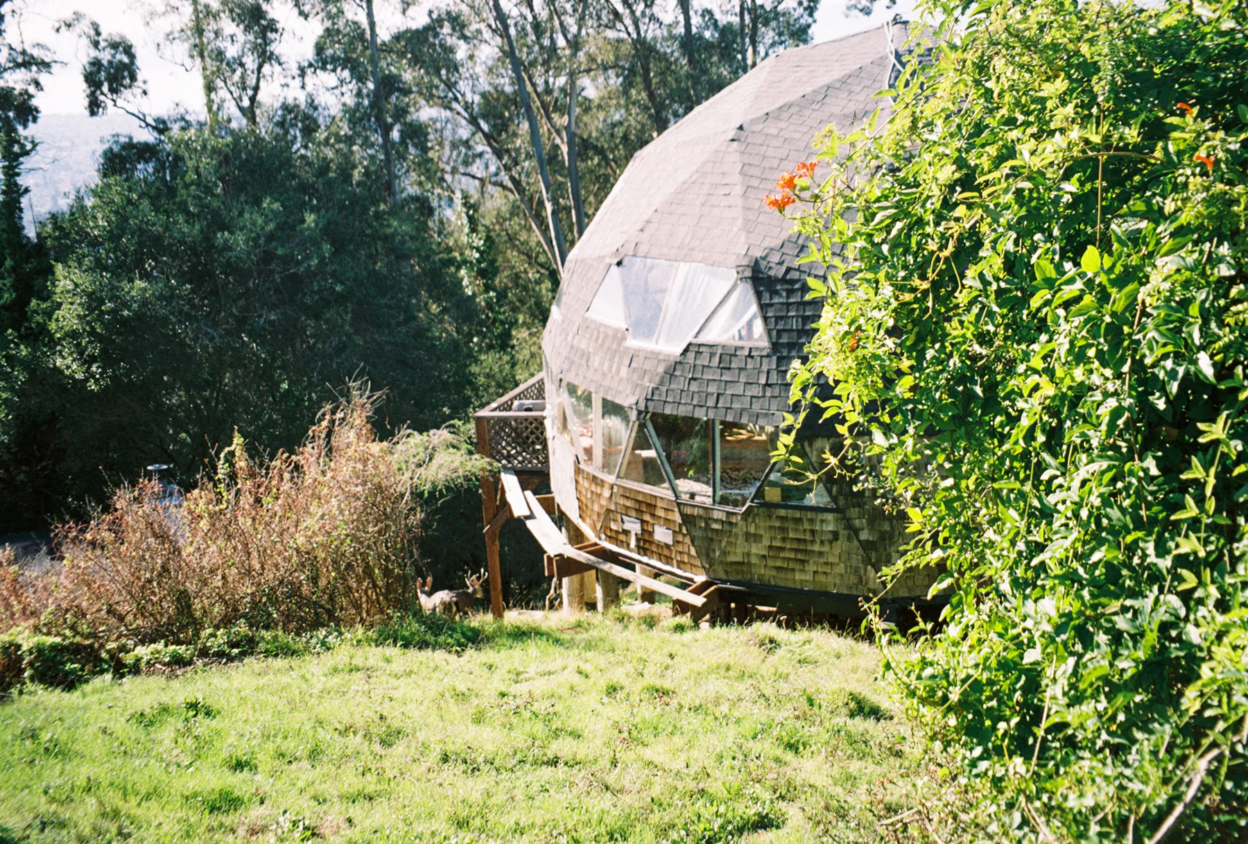 alai860_016.jpg