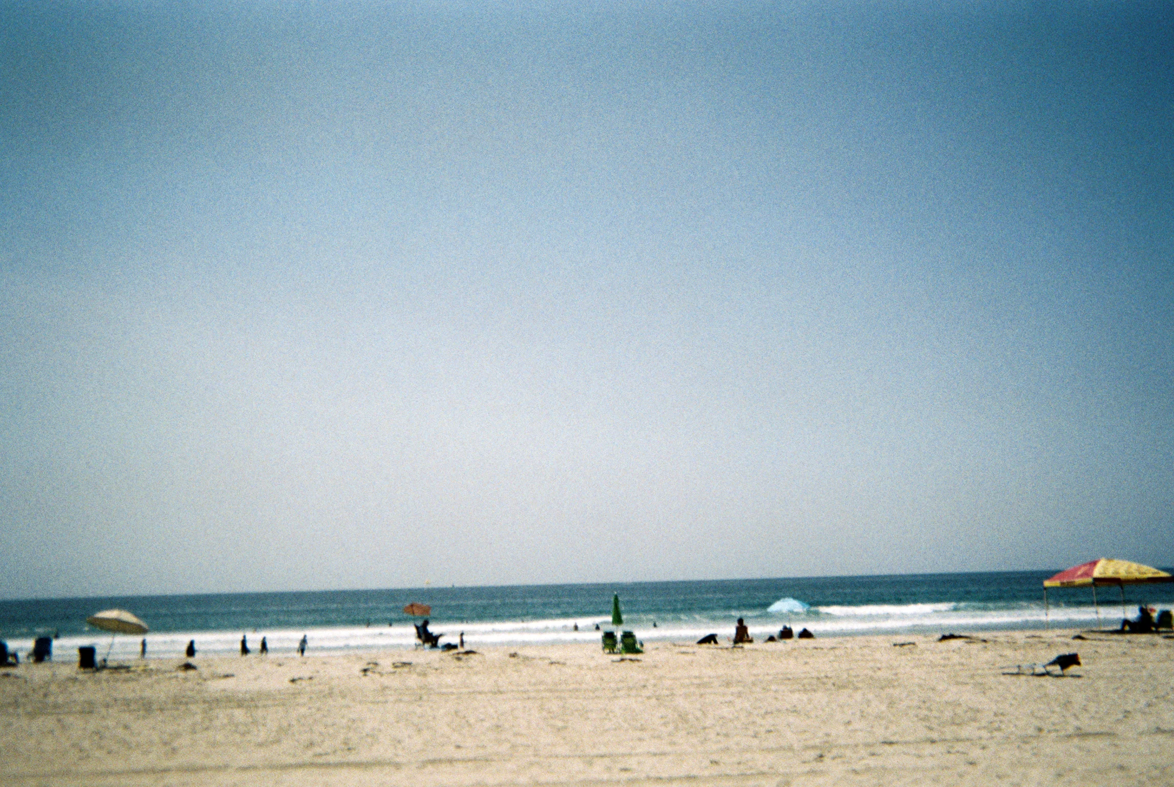 anai385-007.jpg