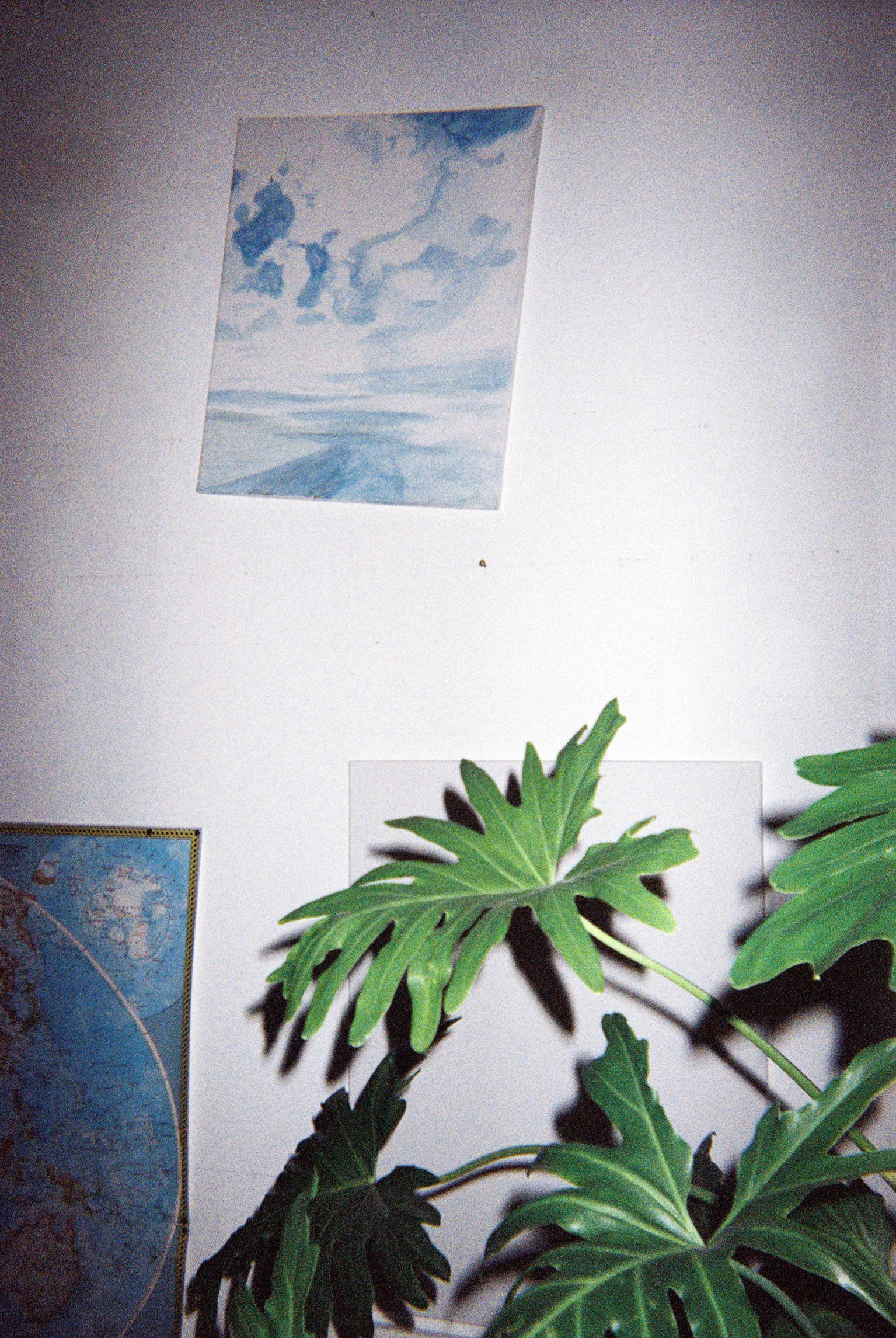 ANAI216-020.jpg