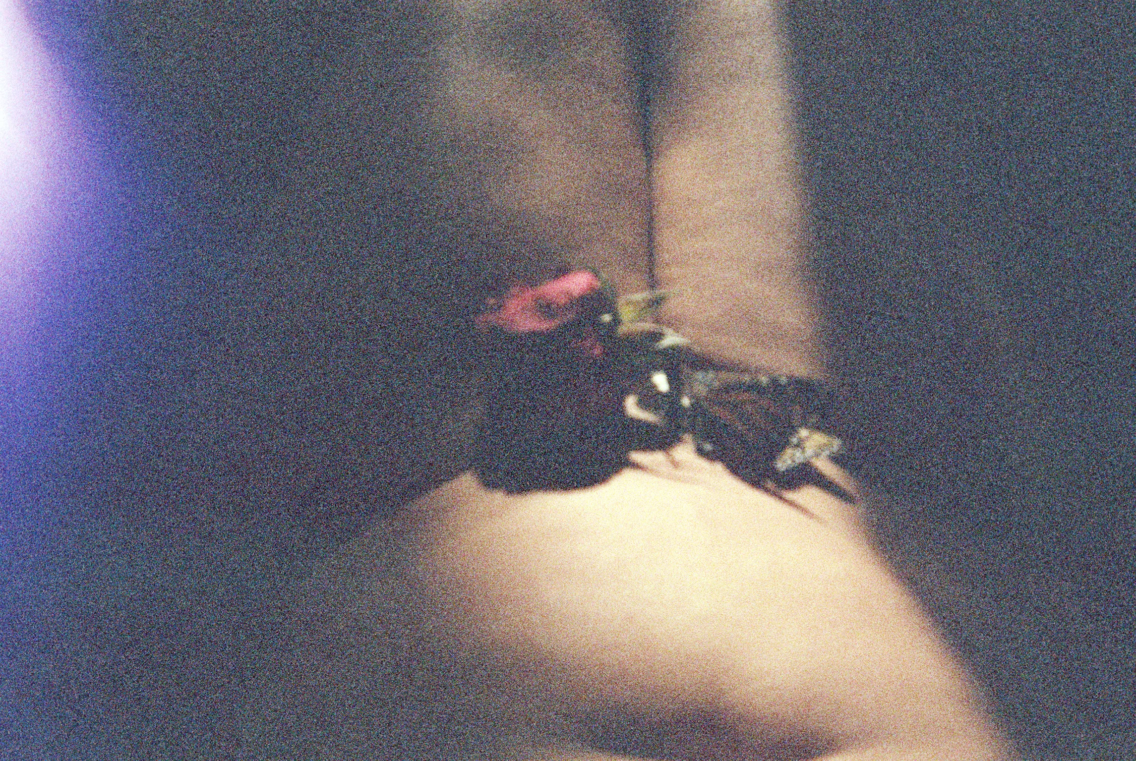 bryan02-016.jpg