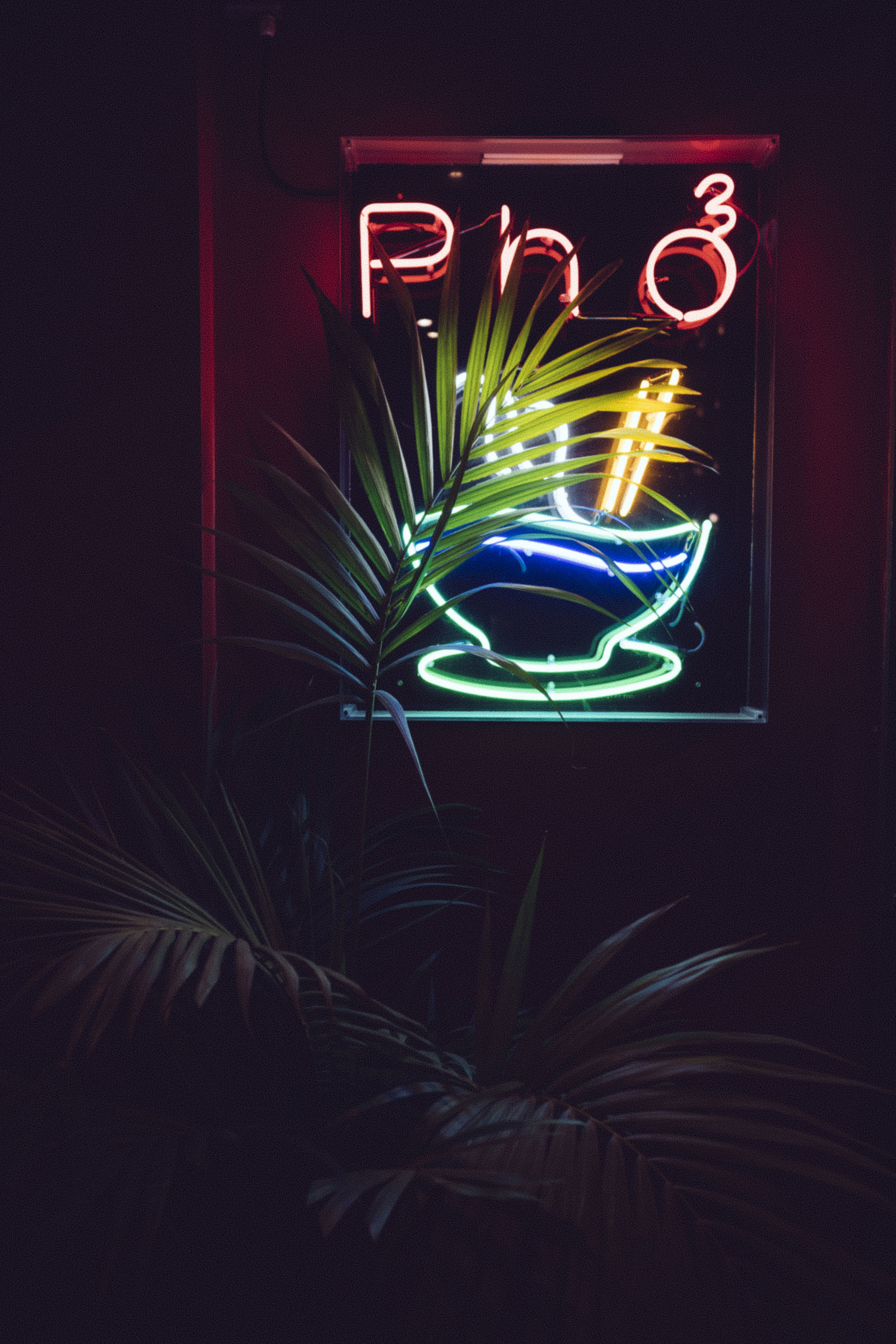 neon pho and some plants