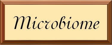 microbiome-frame-1.png