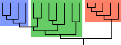 Phylogenetic trees go beyond just genus and species, but also to strains.