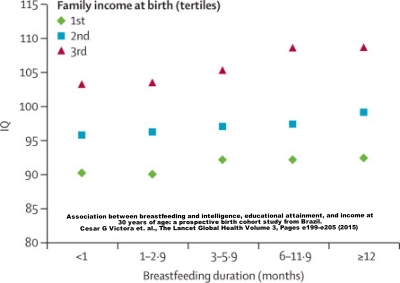 Positive association between breastfeeding and intelligence, between three tiers of family income. Five IQ points is 1/3 of a standard deviation. 