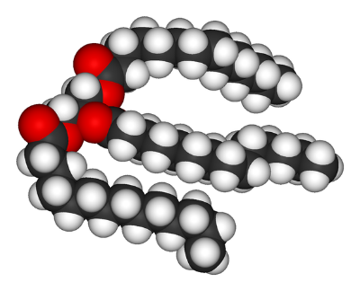 A triglyceride molecule, the main constituent of lard.
