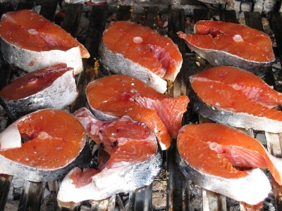 TMAO is sometimes found in fish.