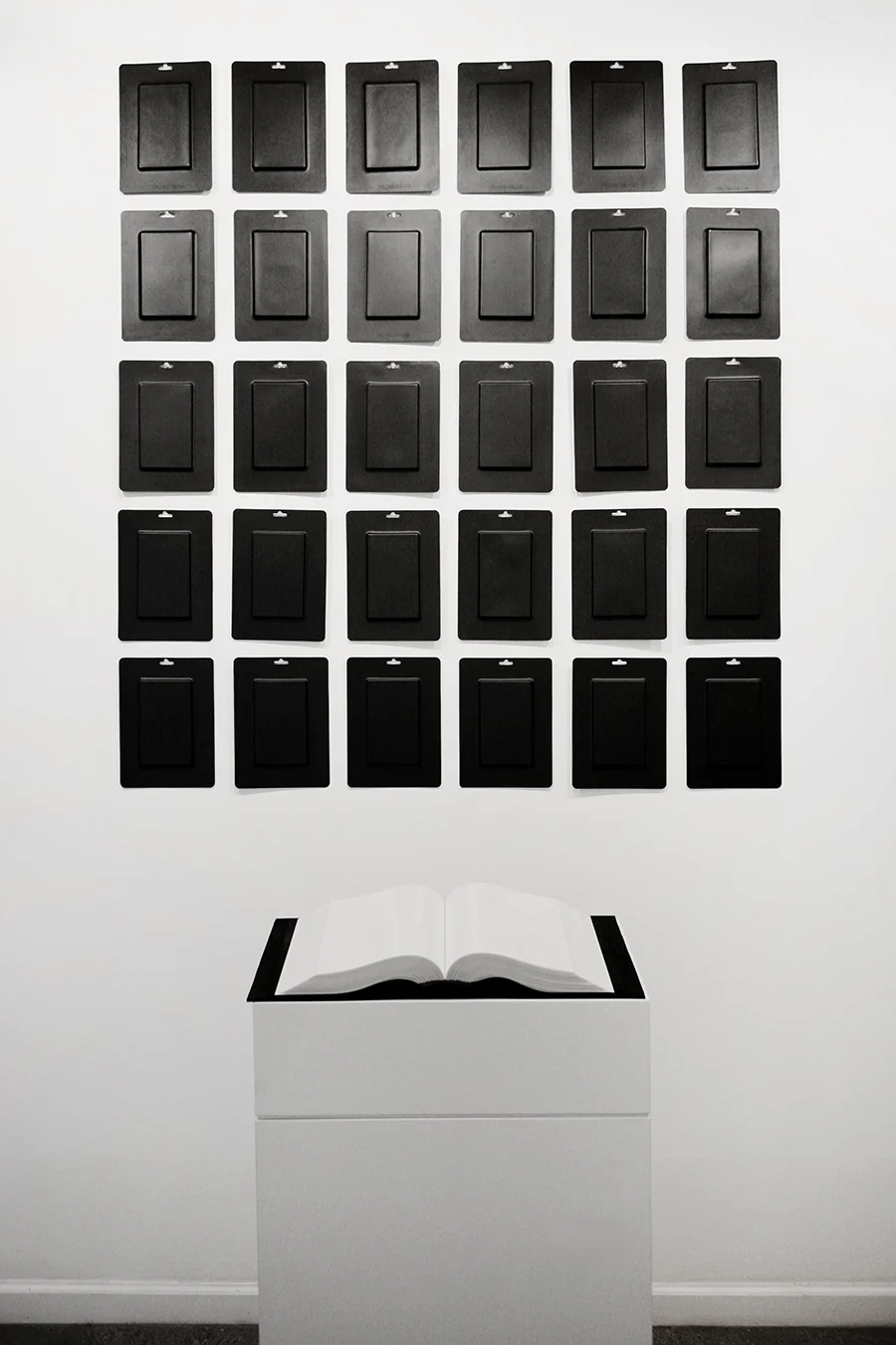 "Blessed is the Machine" and "Citizens: 192.186.195.115" Derrick Cruz, 2013