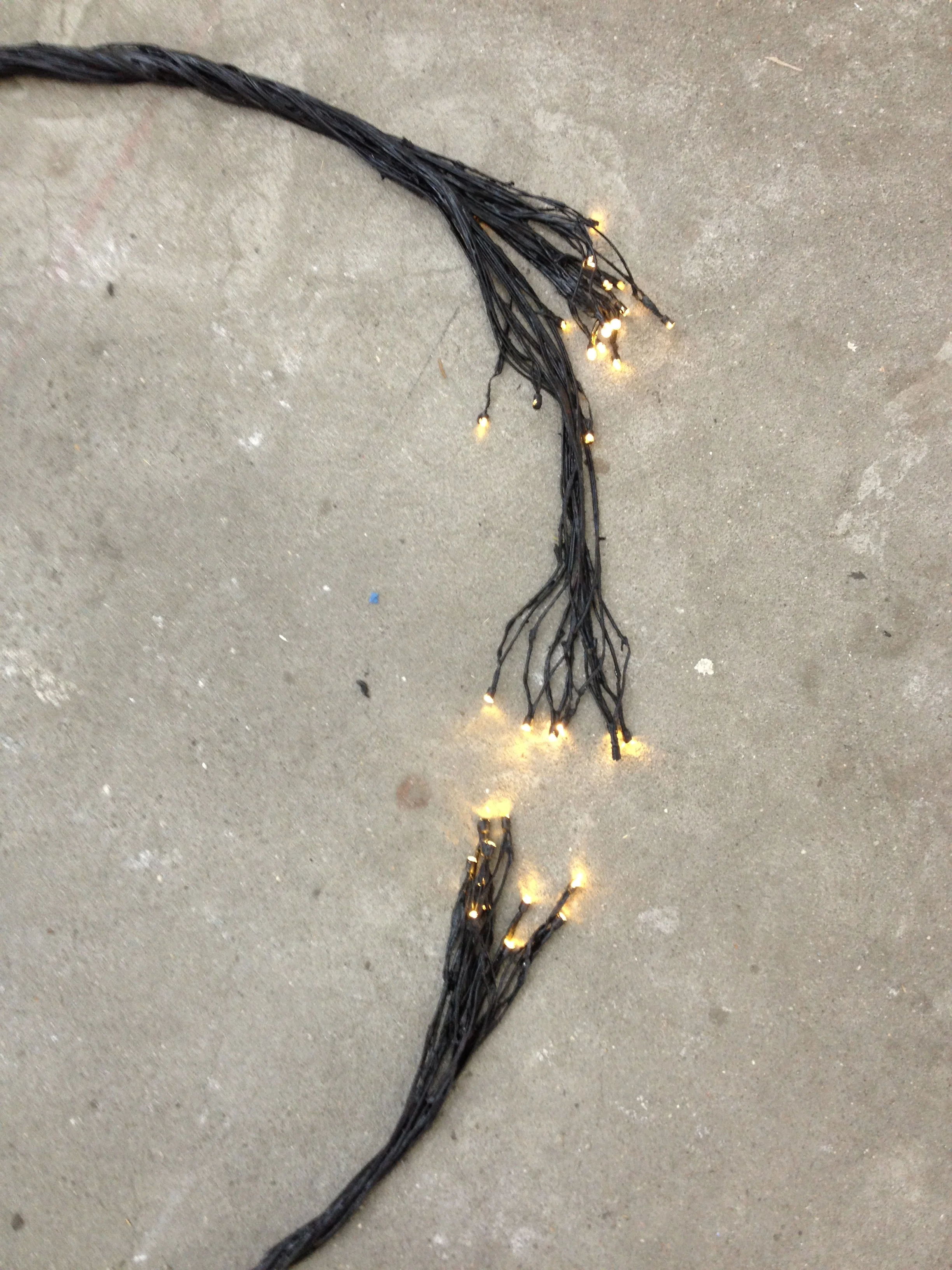 2012-08-16 12.17.42.jpg