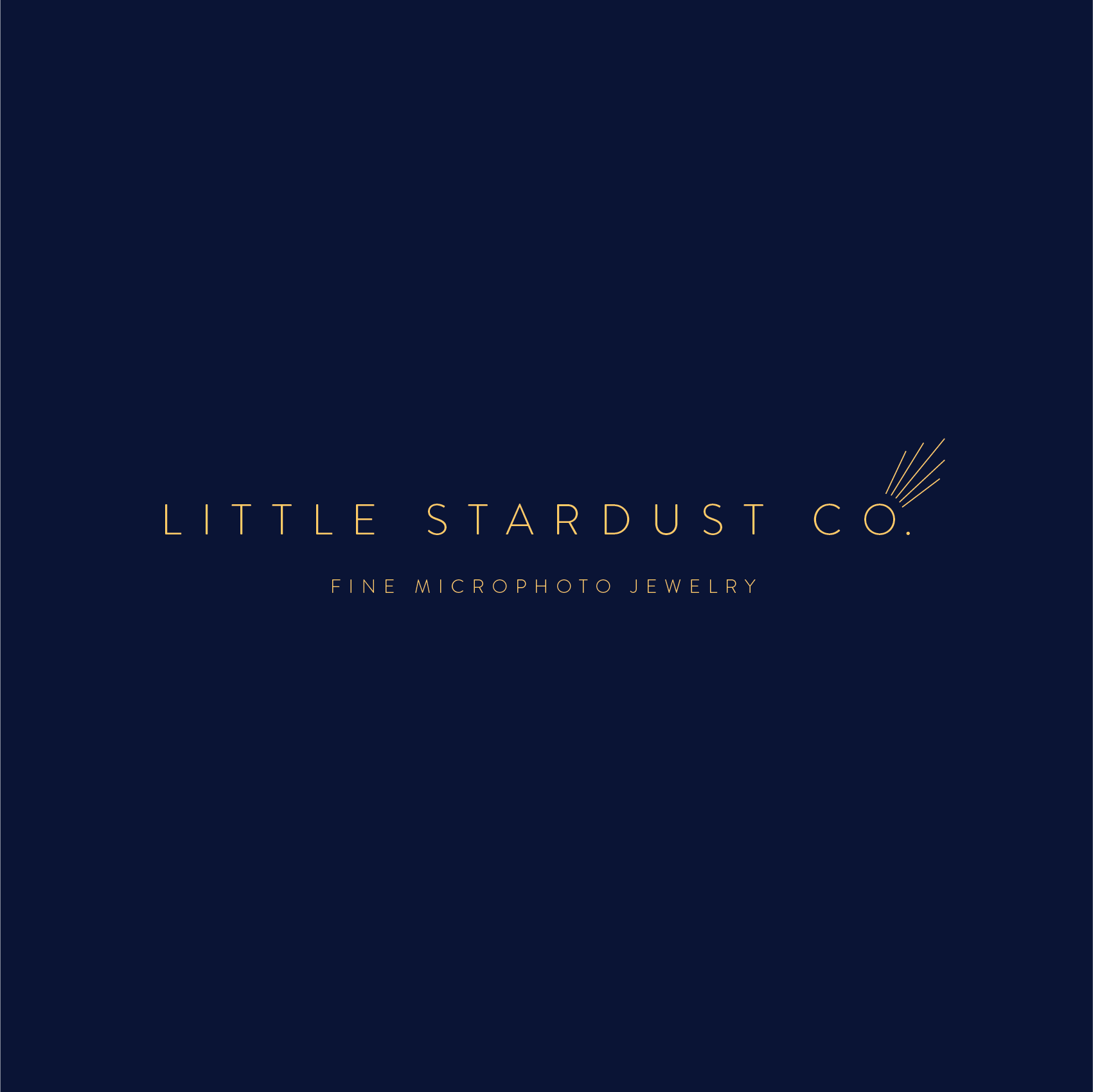 littlestardust_logo_lockup_shootingstar.png