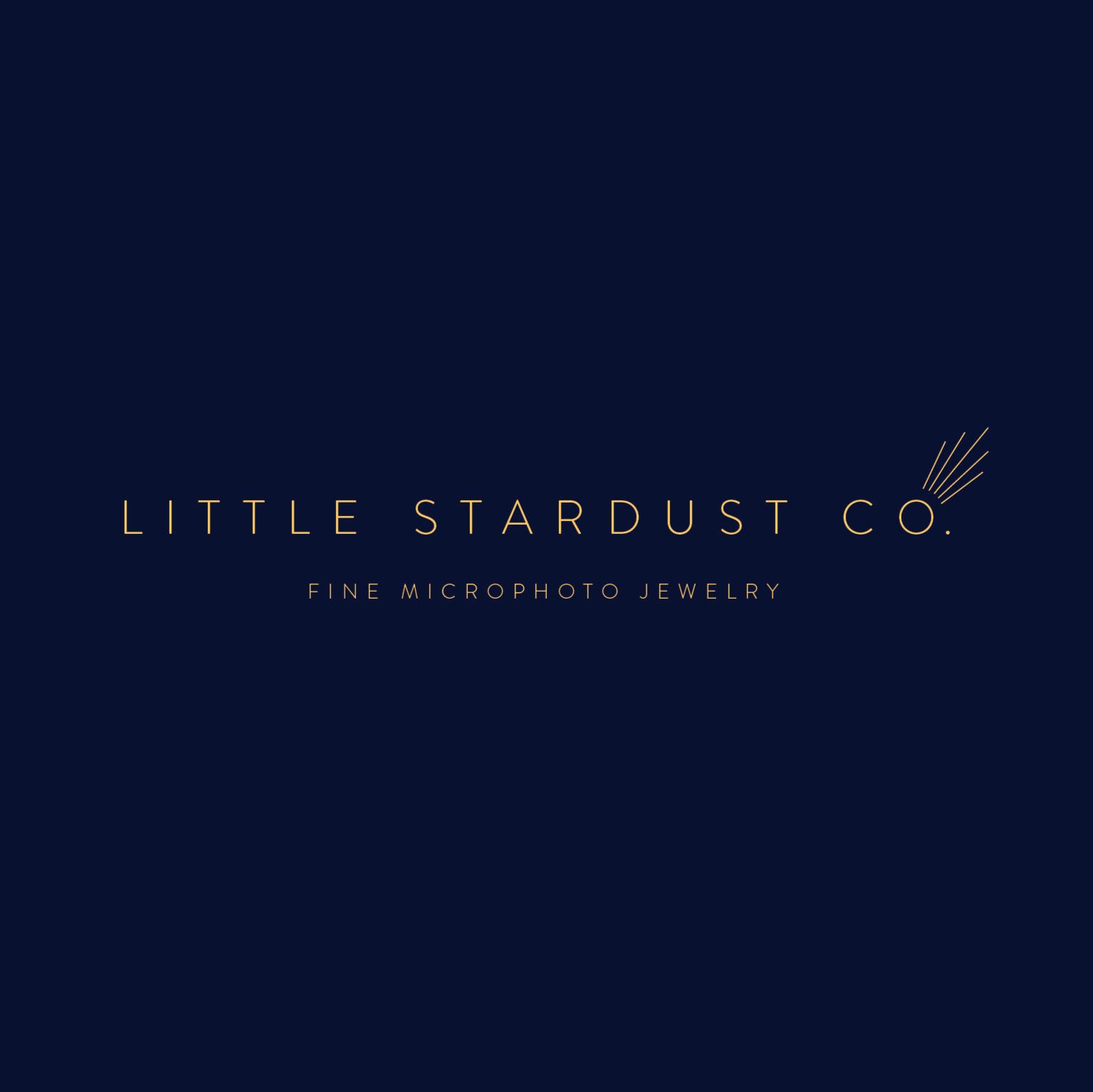 littlestardust_logo_lockup_shootingstarv2.png