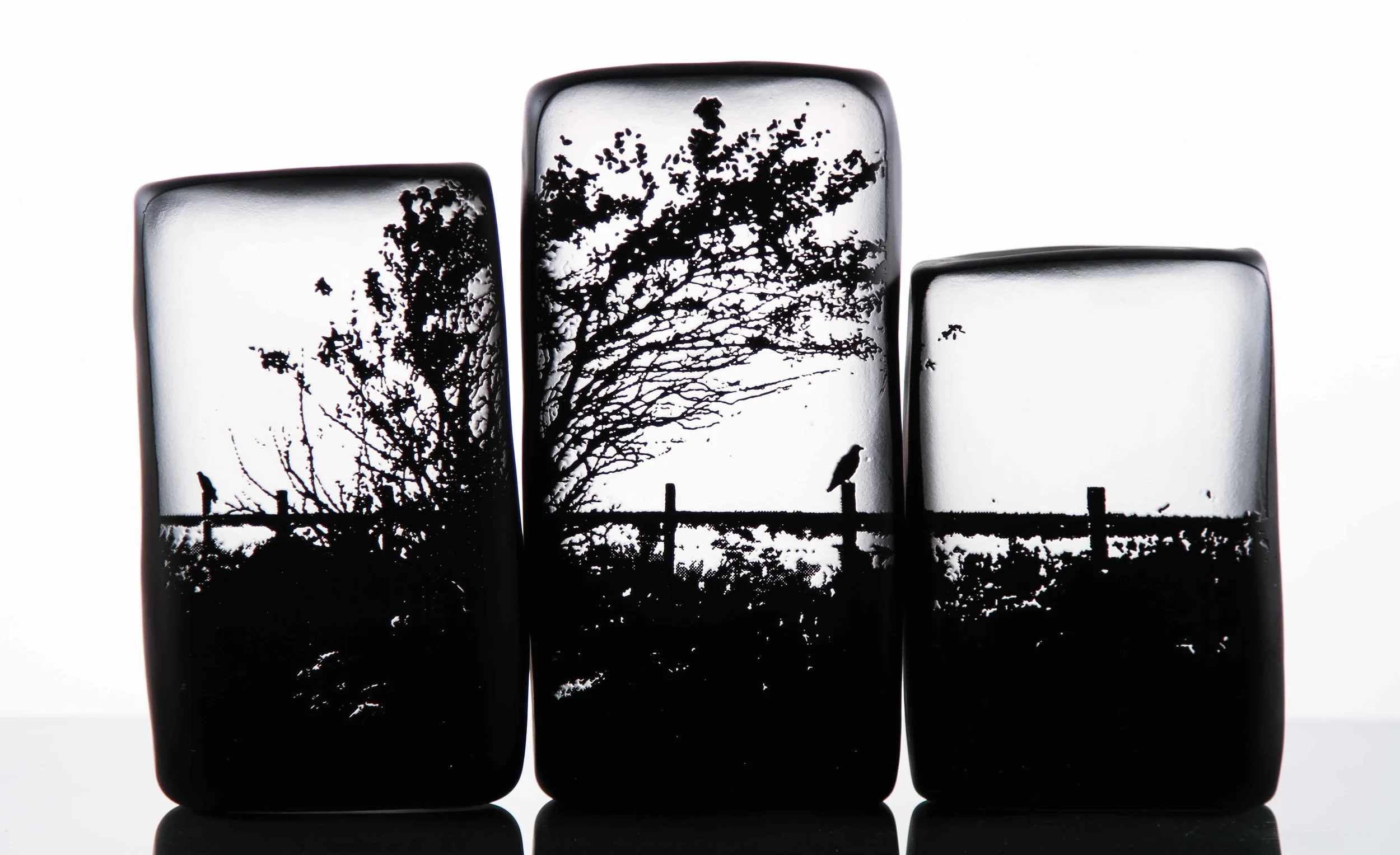 Photo Box - "Crow in Field"